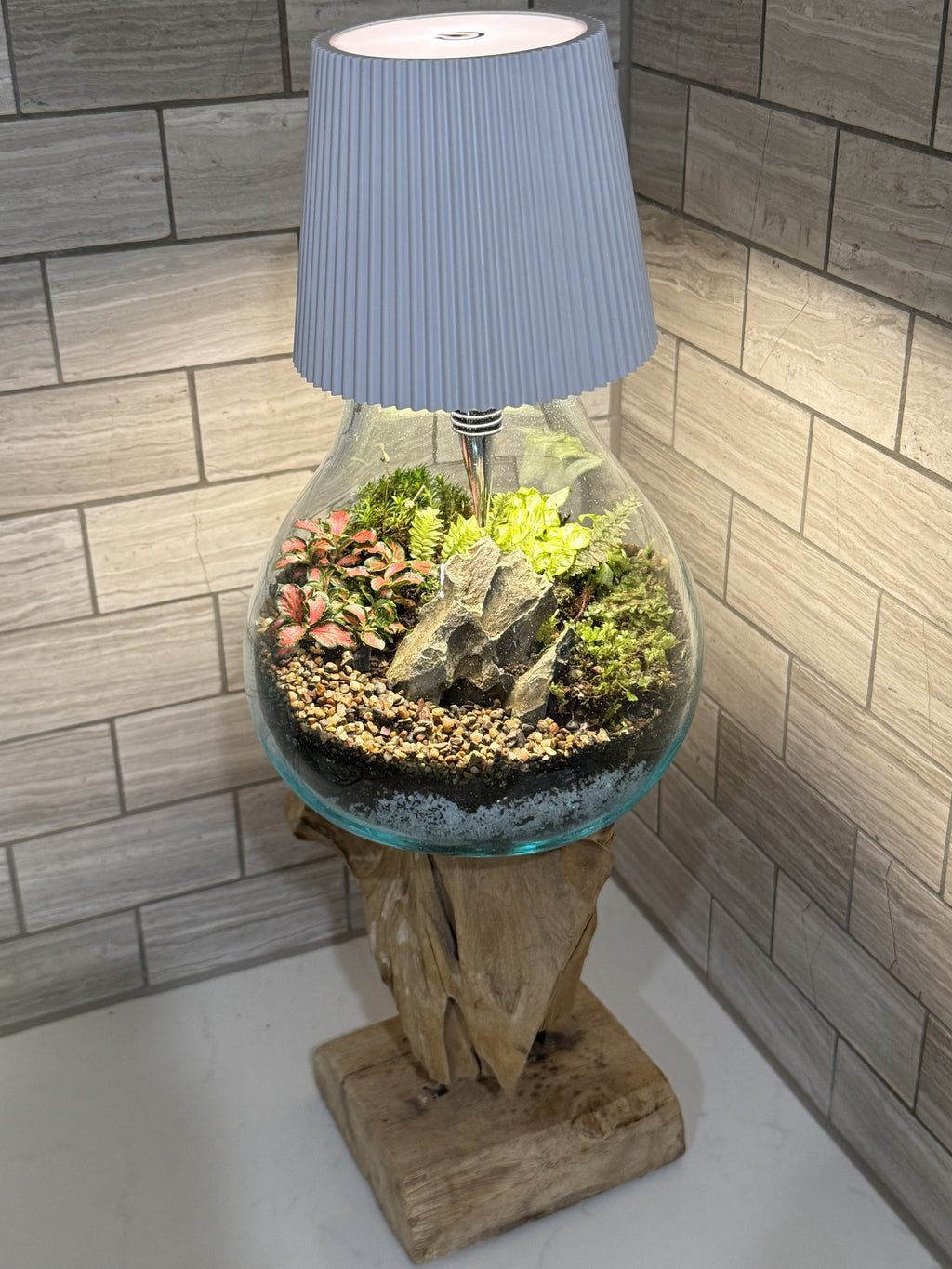 Luminary Terrarium — Living Lamp