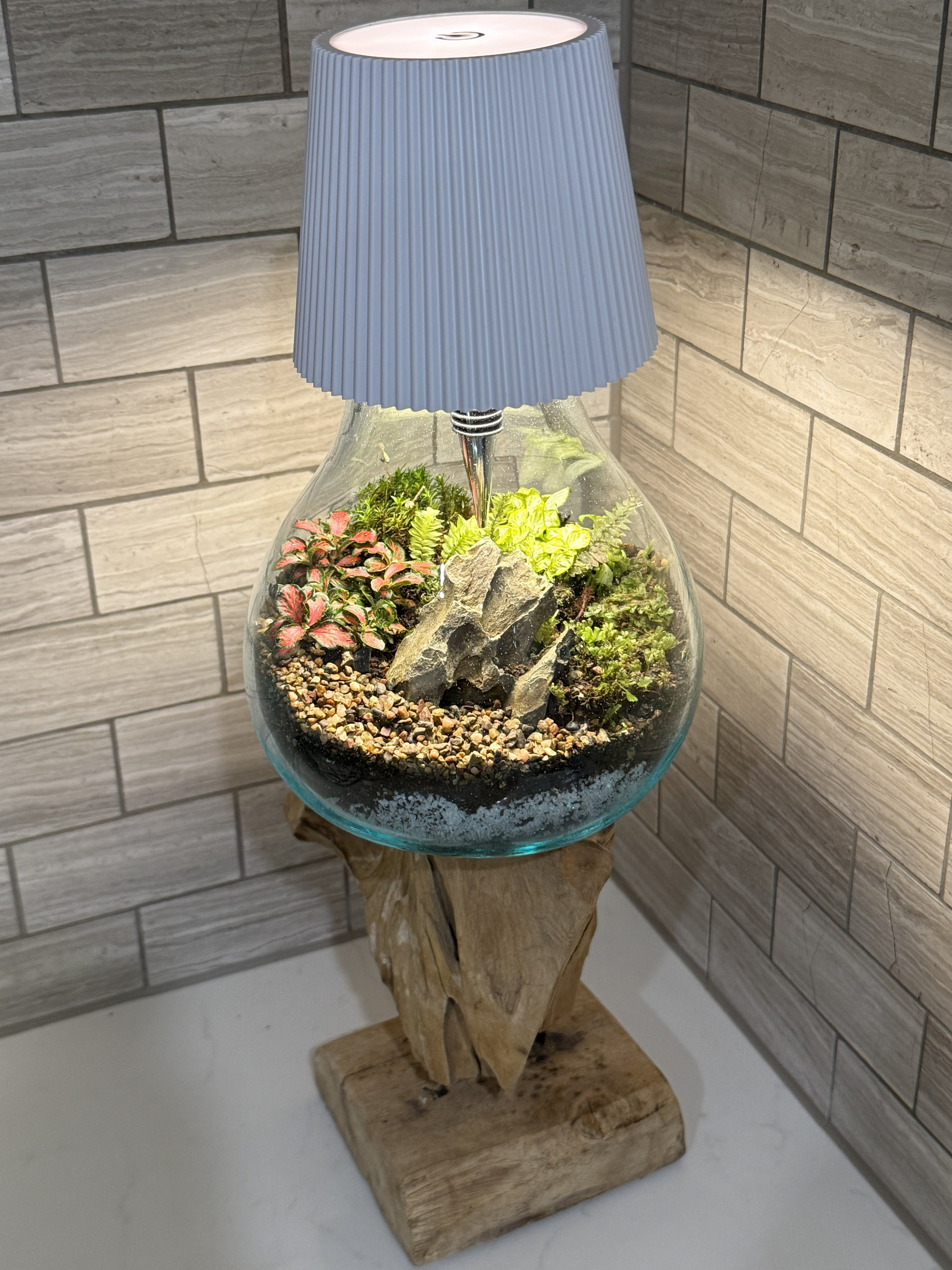 Luminary Terrarium — Living Lamp