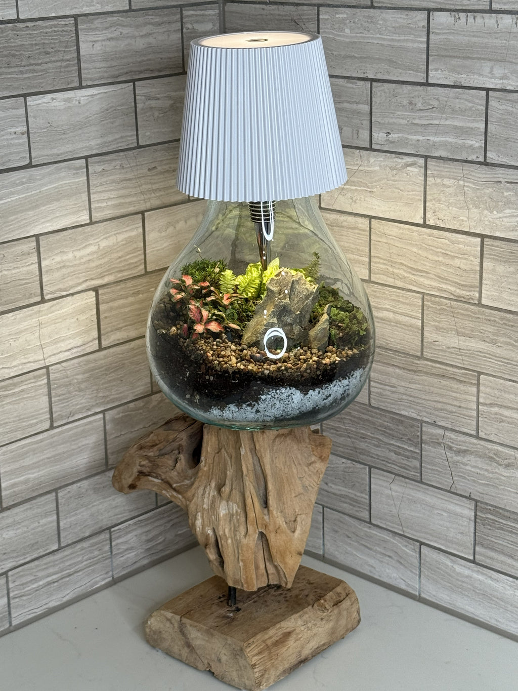 Luminary Terrarium — Living Lamp