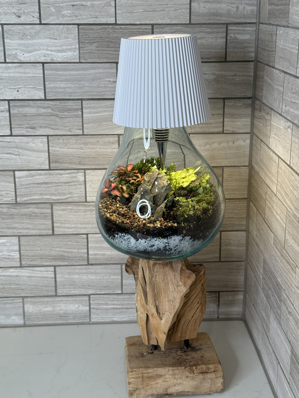 Luminary Terrarium — Living Lamp
