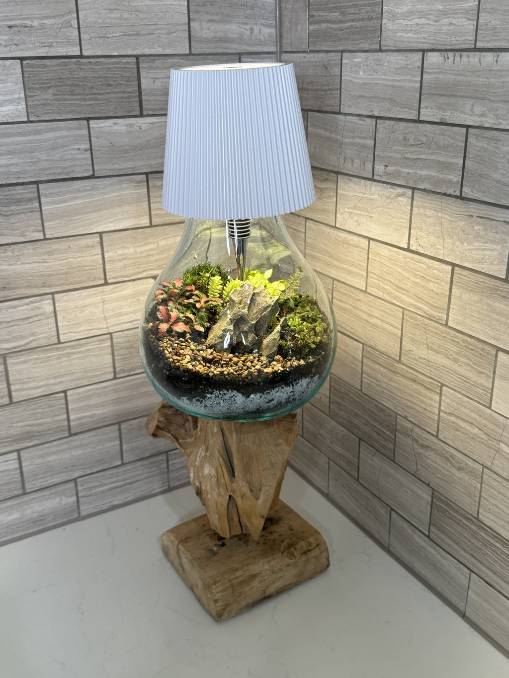 Luminary Terrarium — Living Lamp