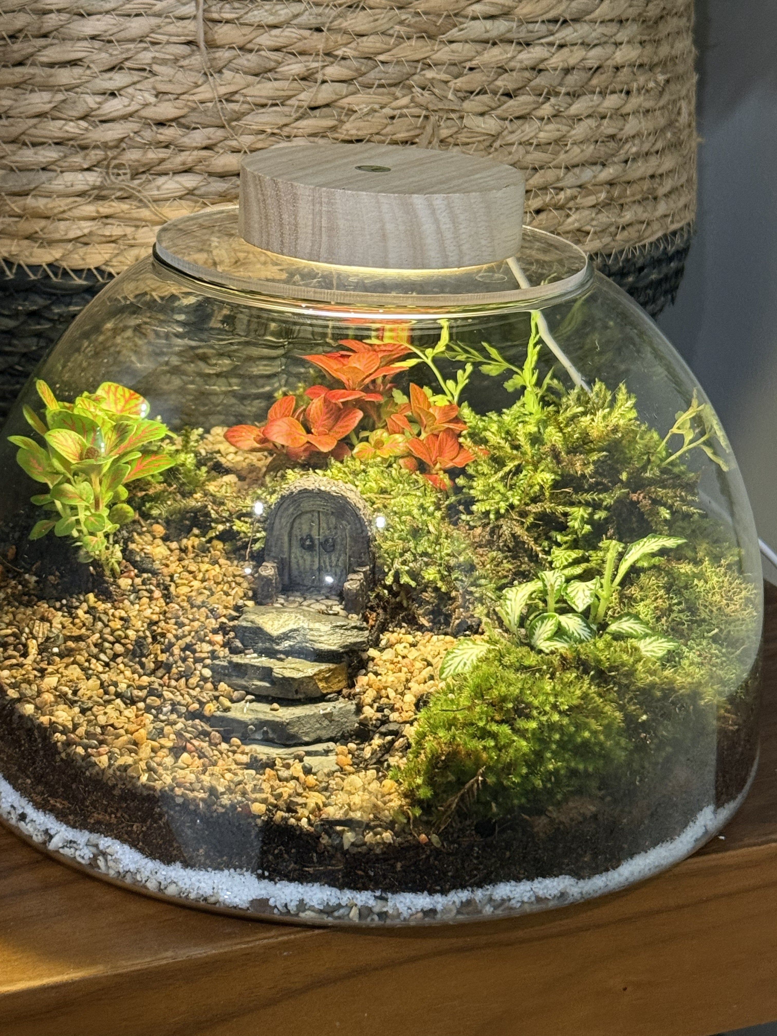 Eco Garden – Lush Terrarium Dome