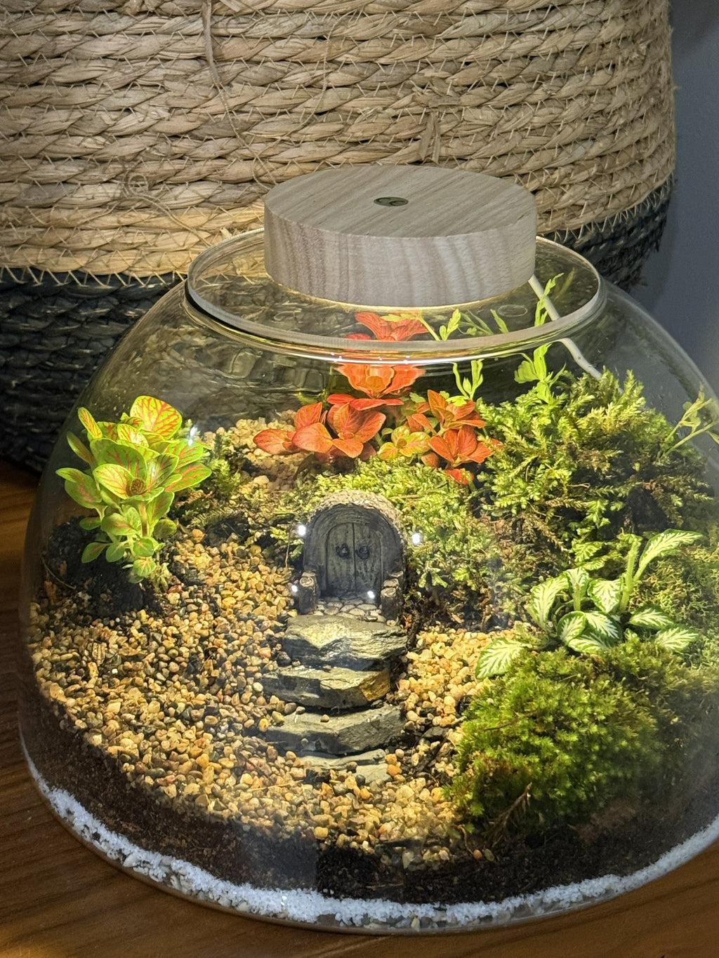 Eco Garden – Lush Terrarium Dome