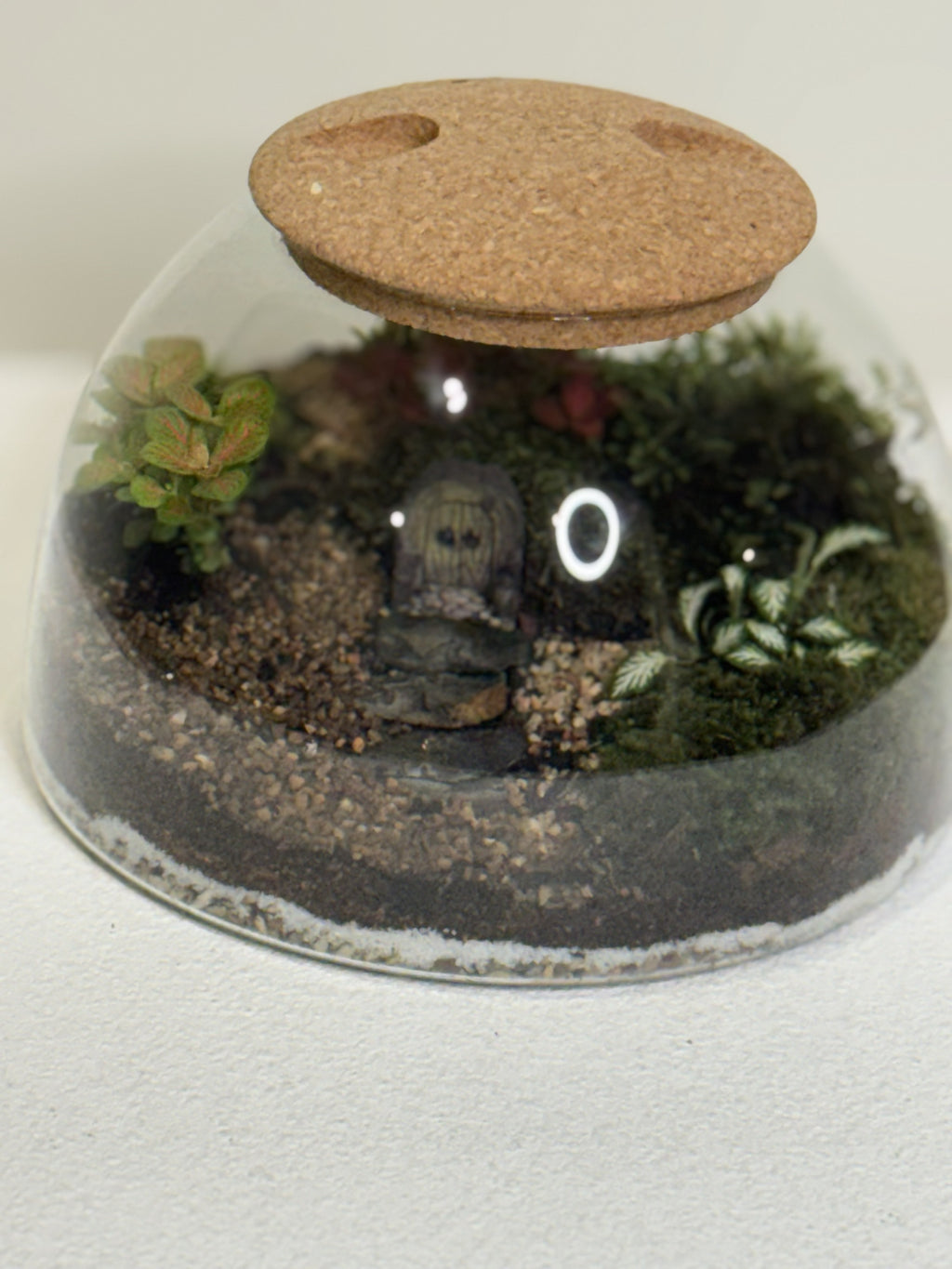 Eco Garden – Lush Terrarium Dome