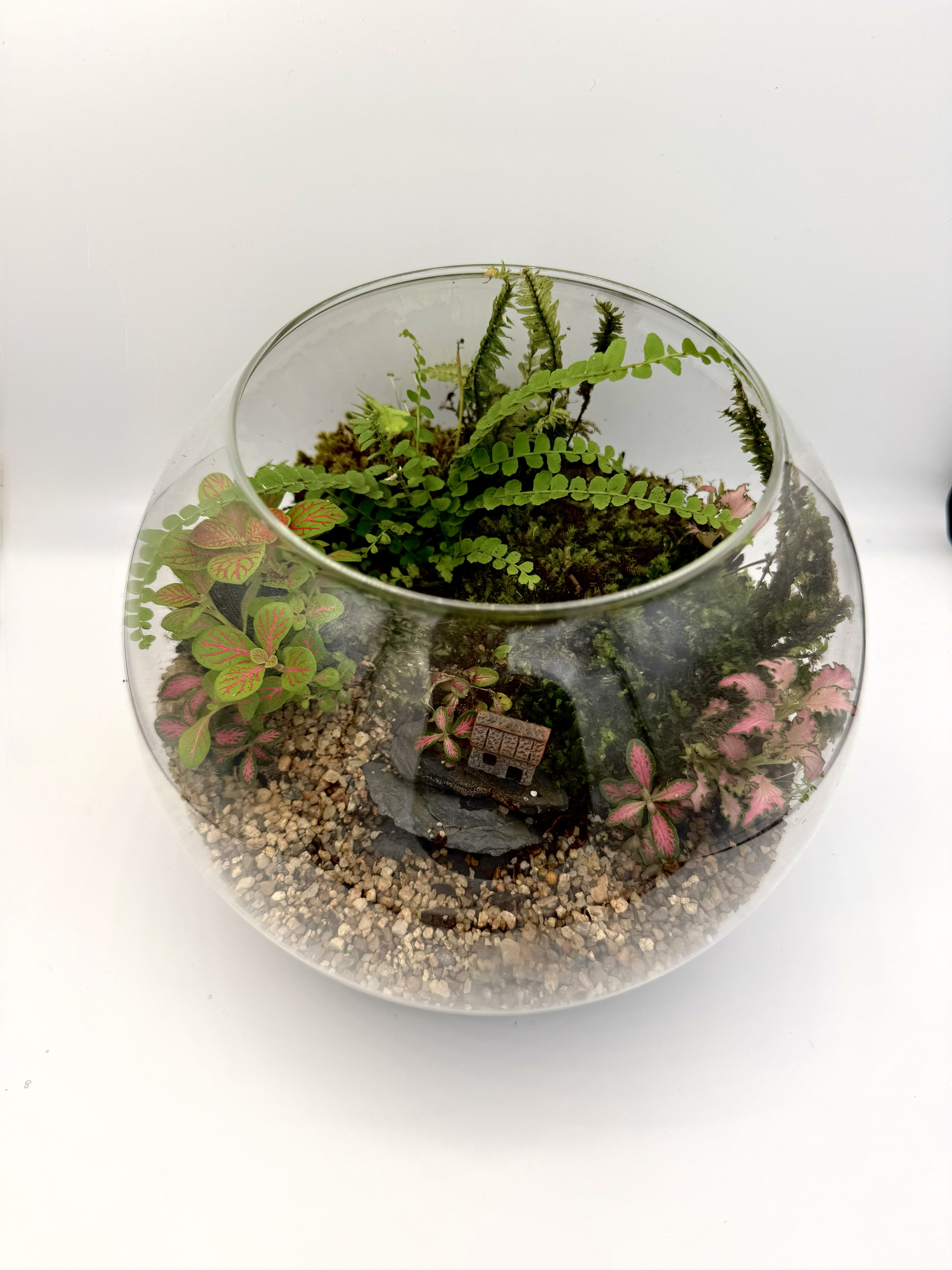Cottage Grove Terrarium