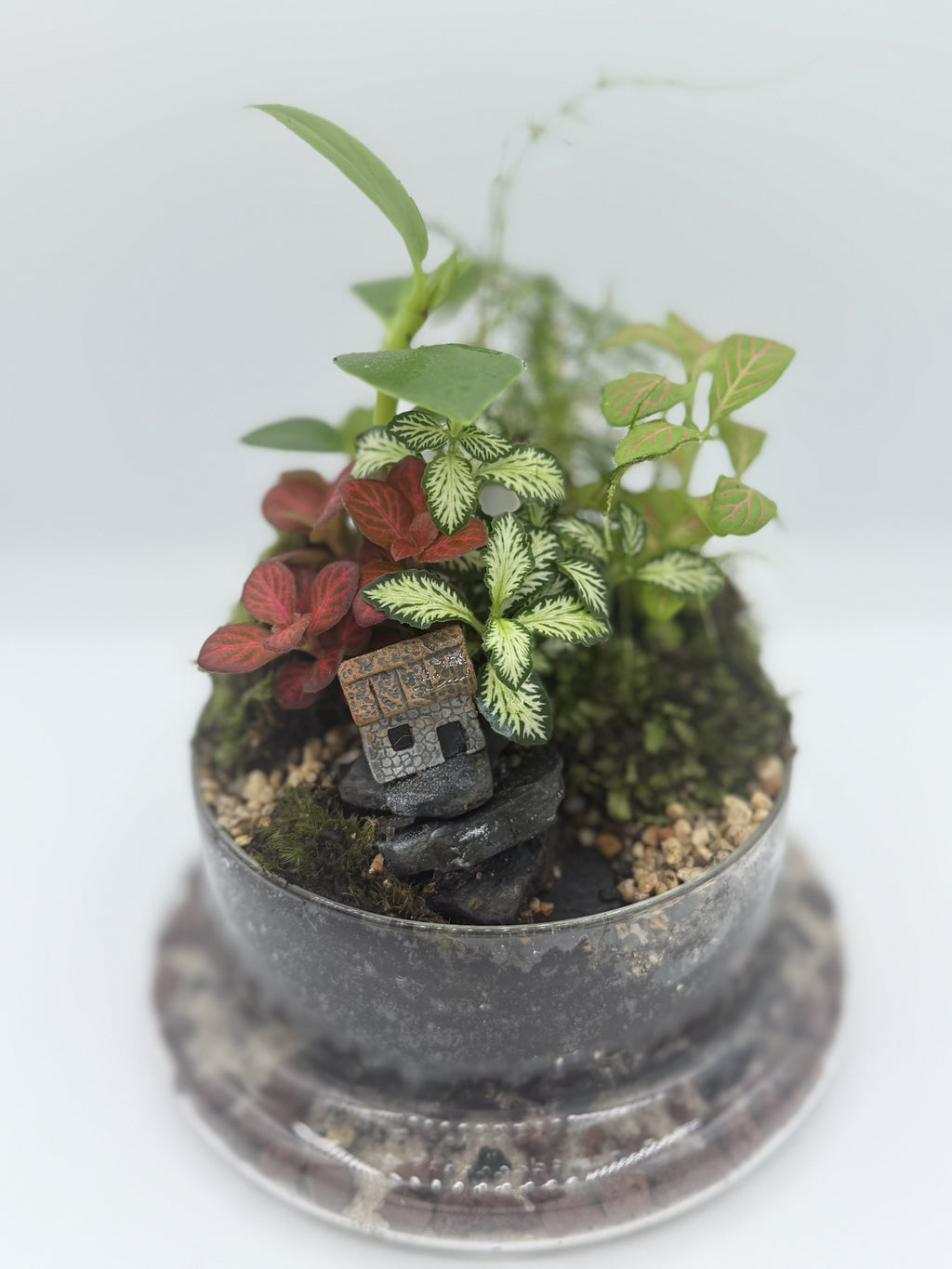 The Lost Kingdom — Bell Jar Terrarium