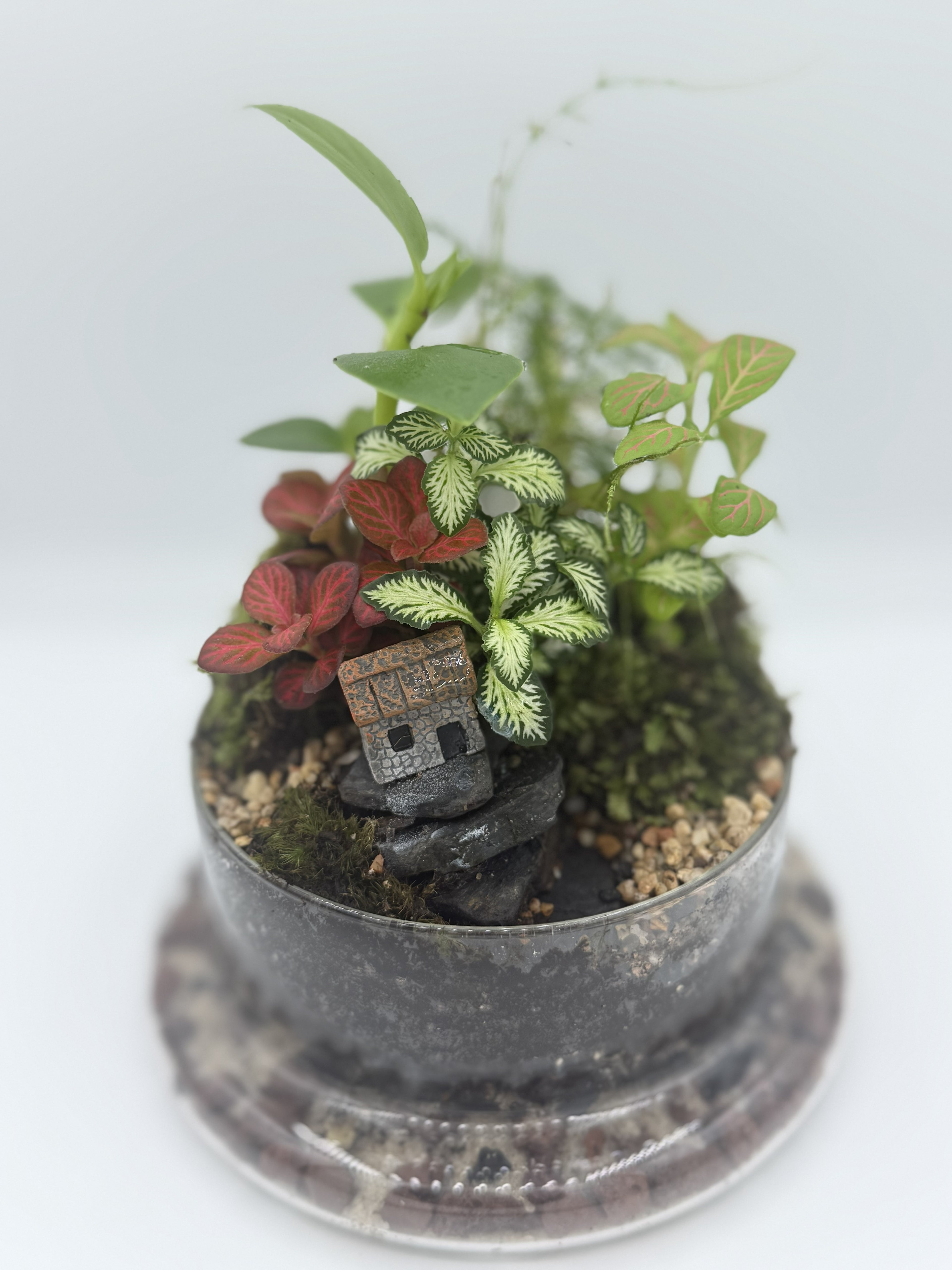 The Lost Kingdom — Bell Jar Terrarium