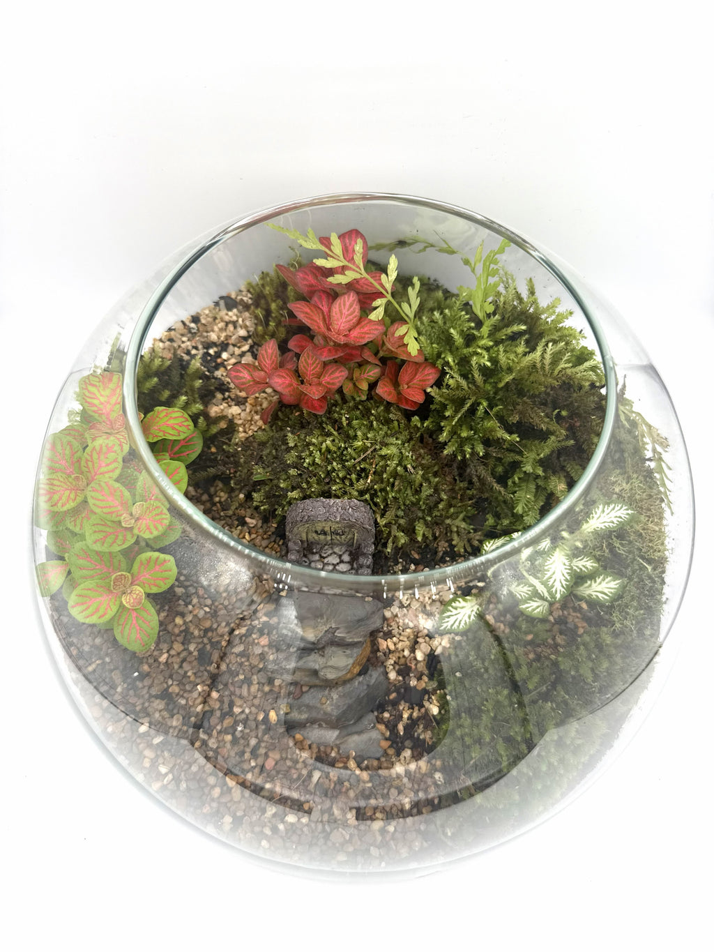 Eco Garden – Lush Terrarium Dome