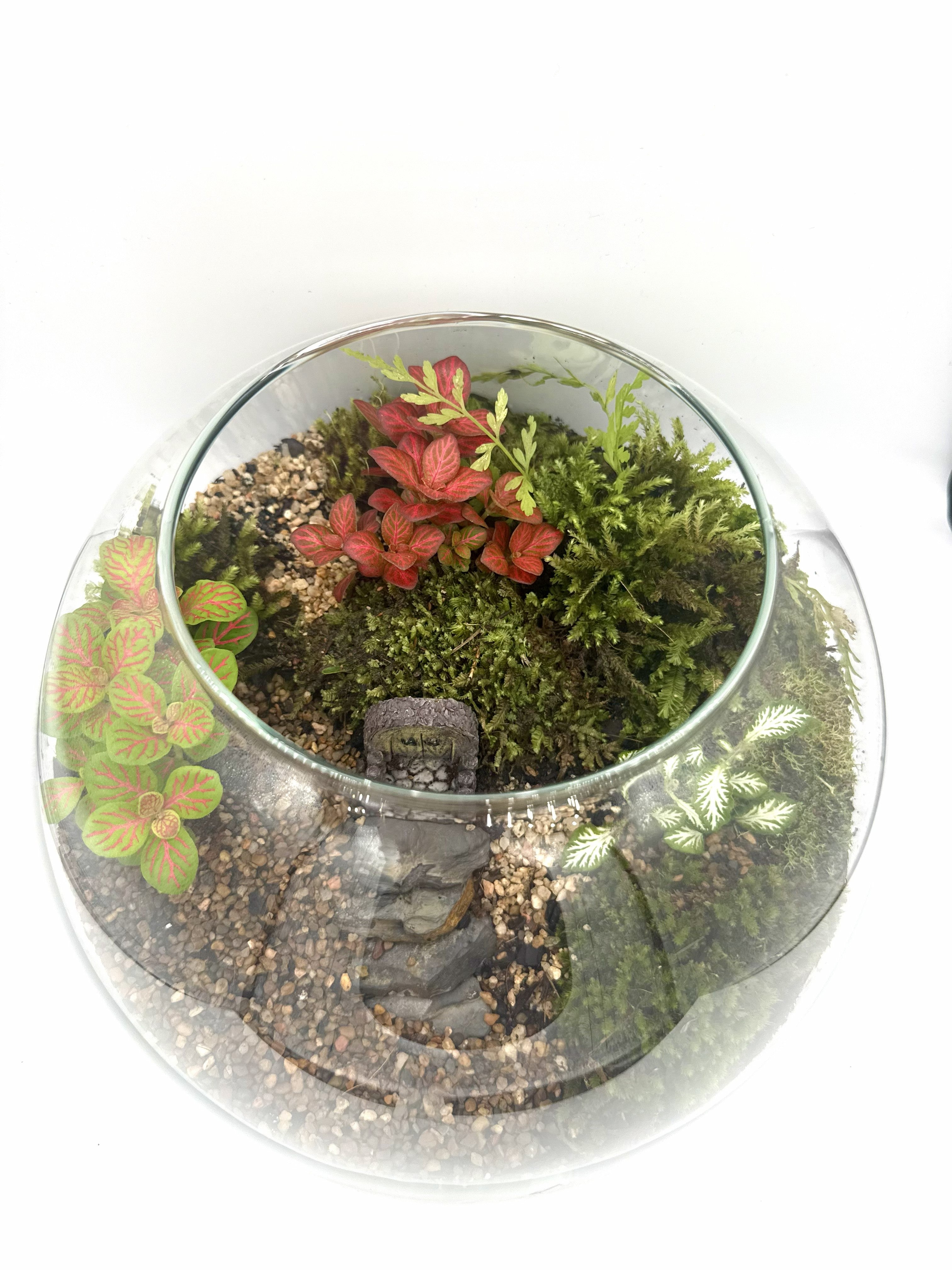 Eco Garden – Lush Terrarium Dome