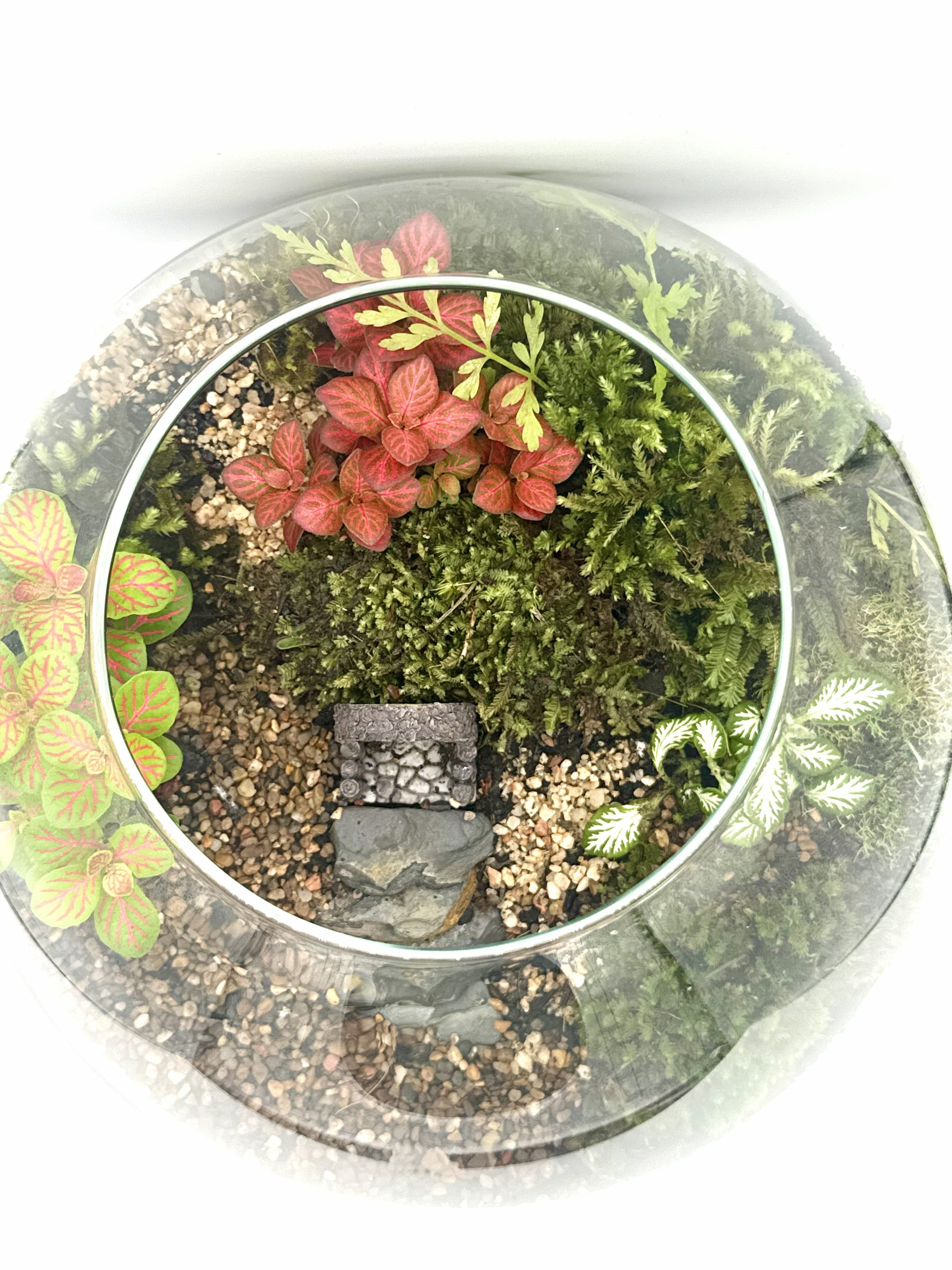 Eco Garden – Lush Terrarium Dome