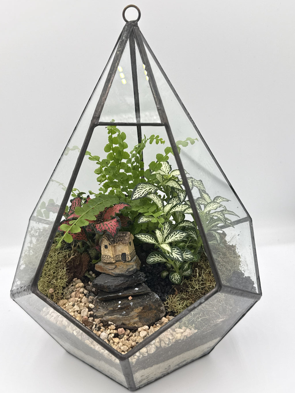 Diamond Geometric Terrarium