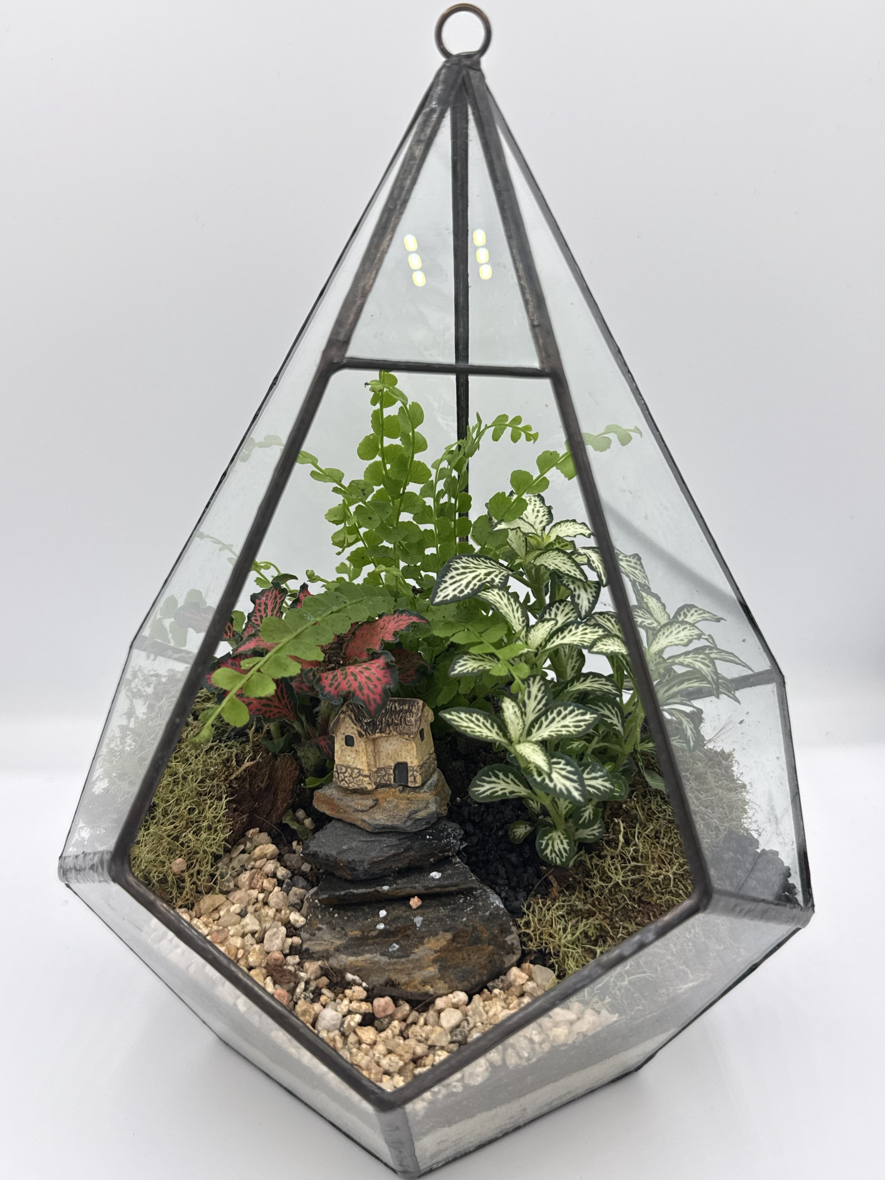 Diamond Geometric Terrarium