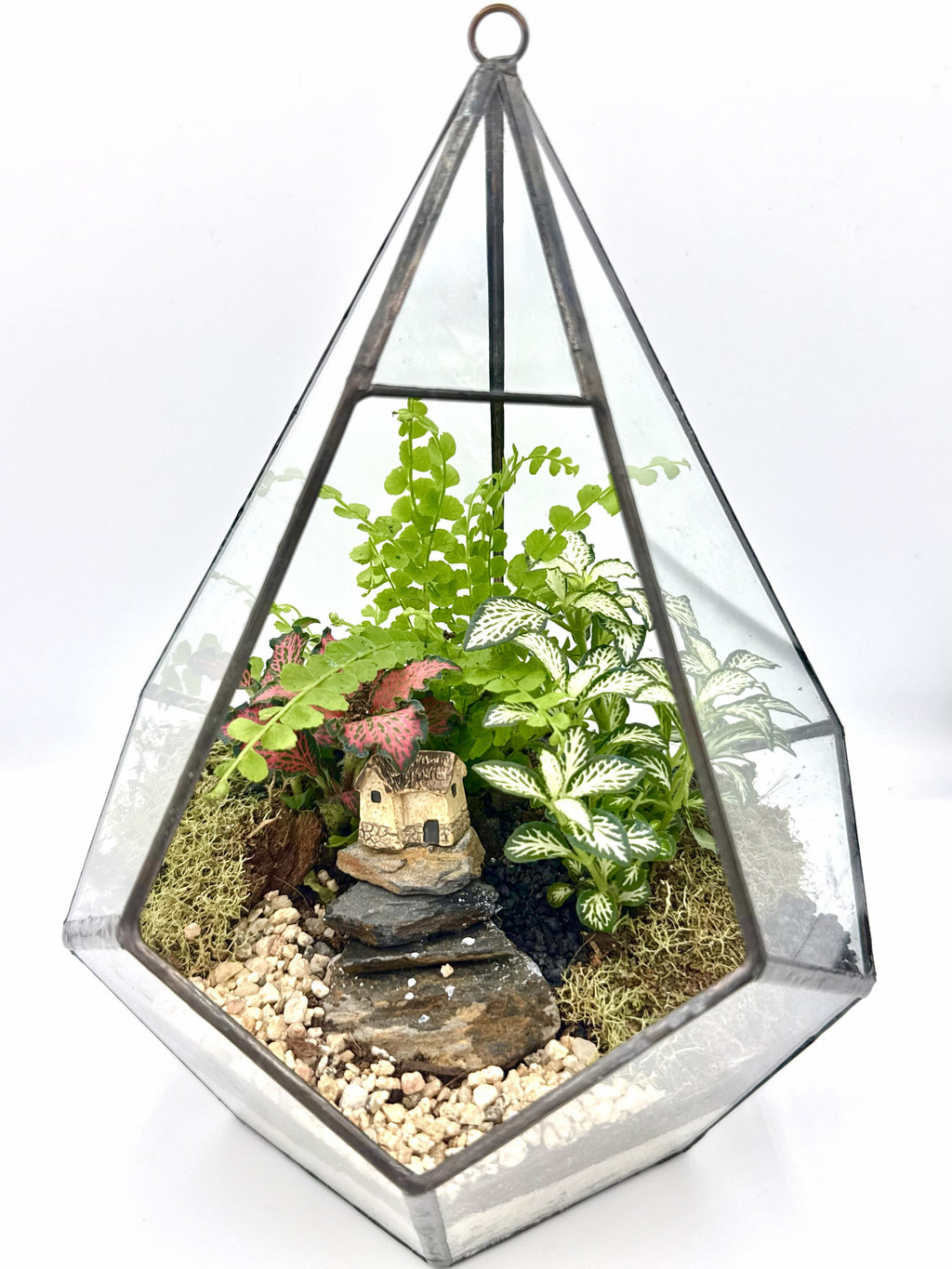 Diamond Geometric Terrarium