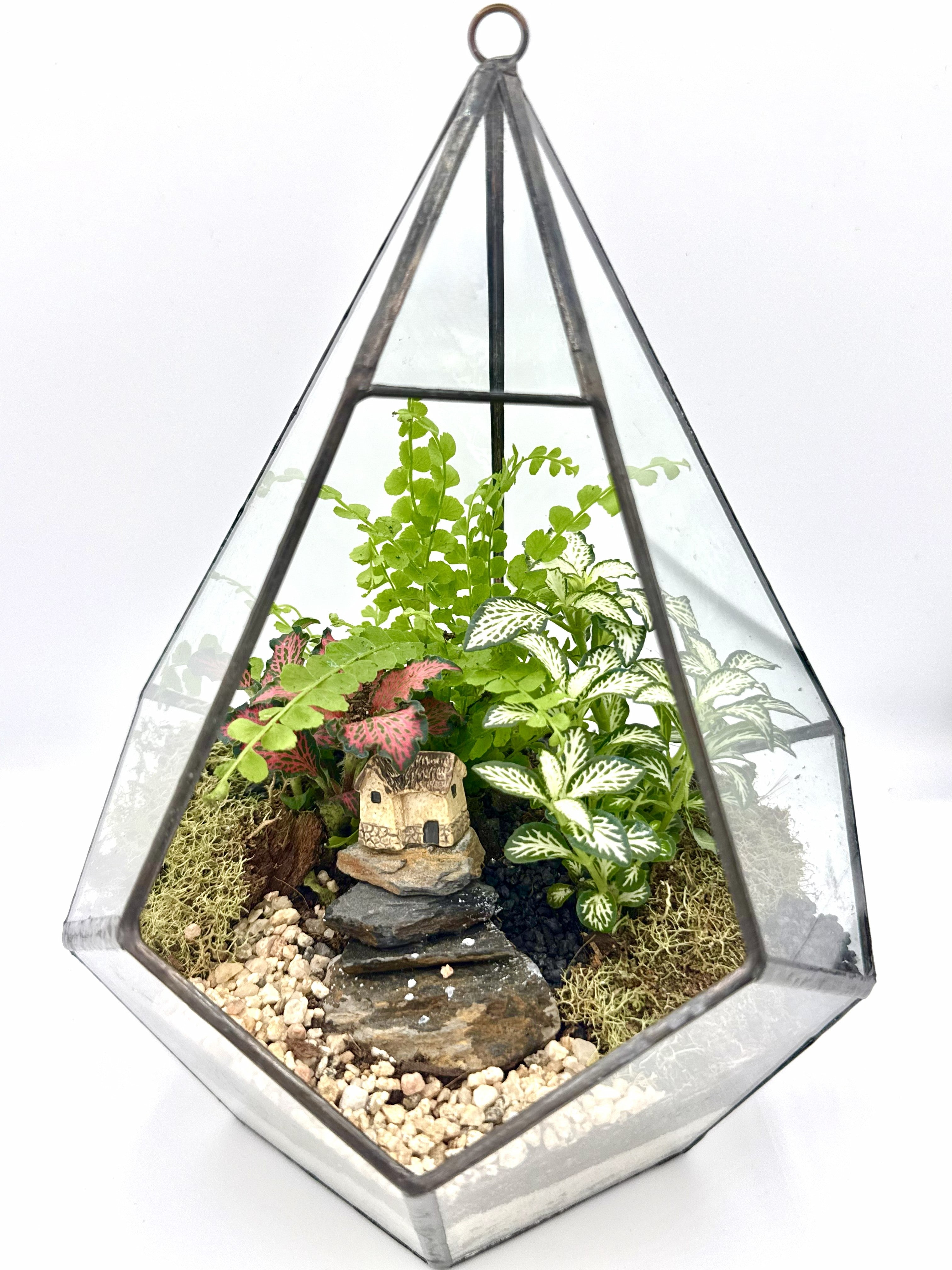 Diamond Geometric Terrarium