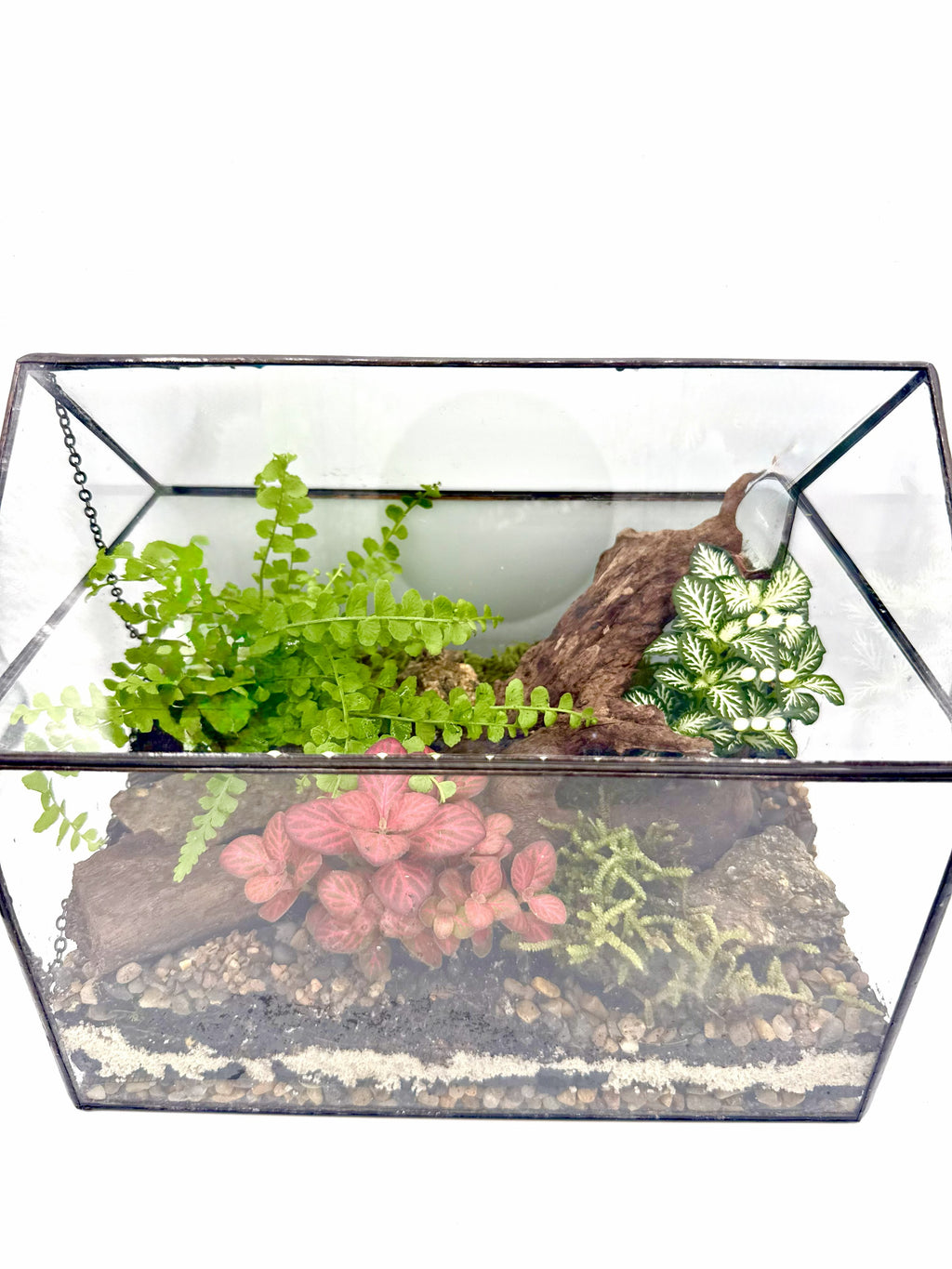 Glass House Terrarium