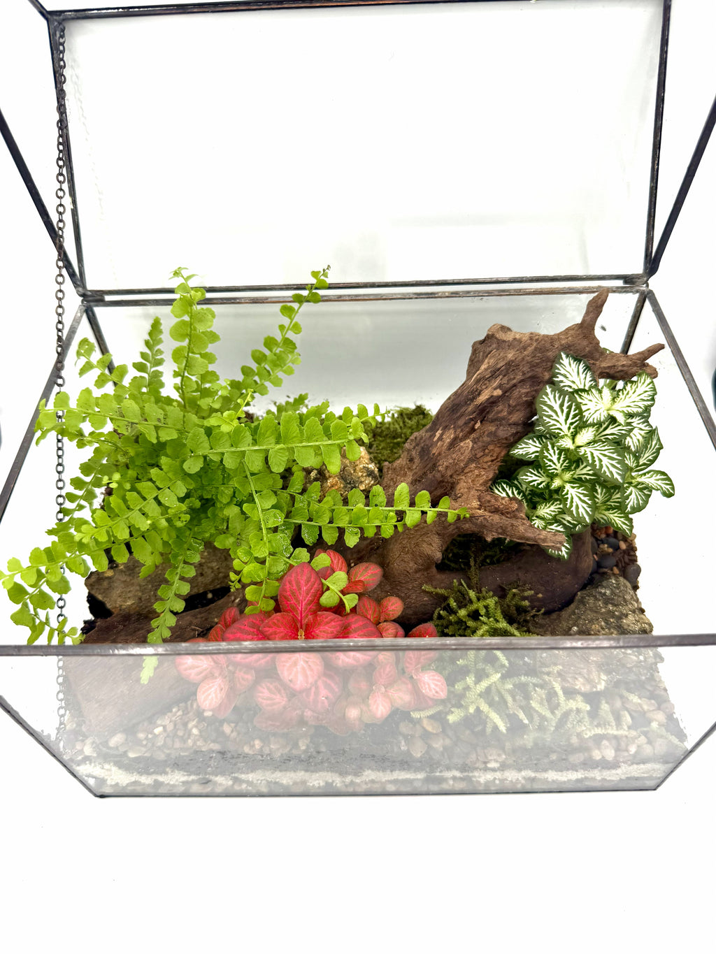 Glass House Terrarium