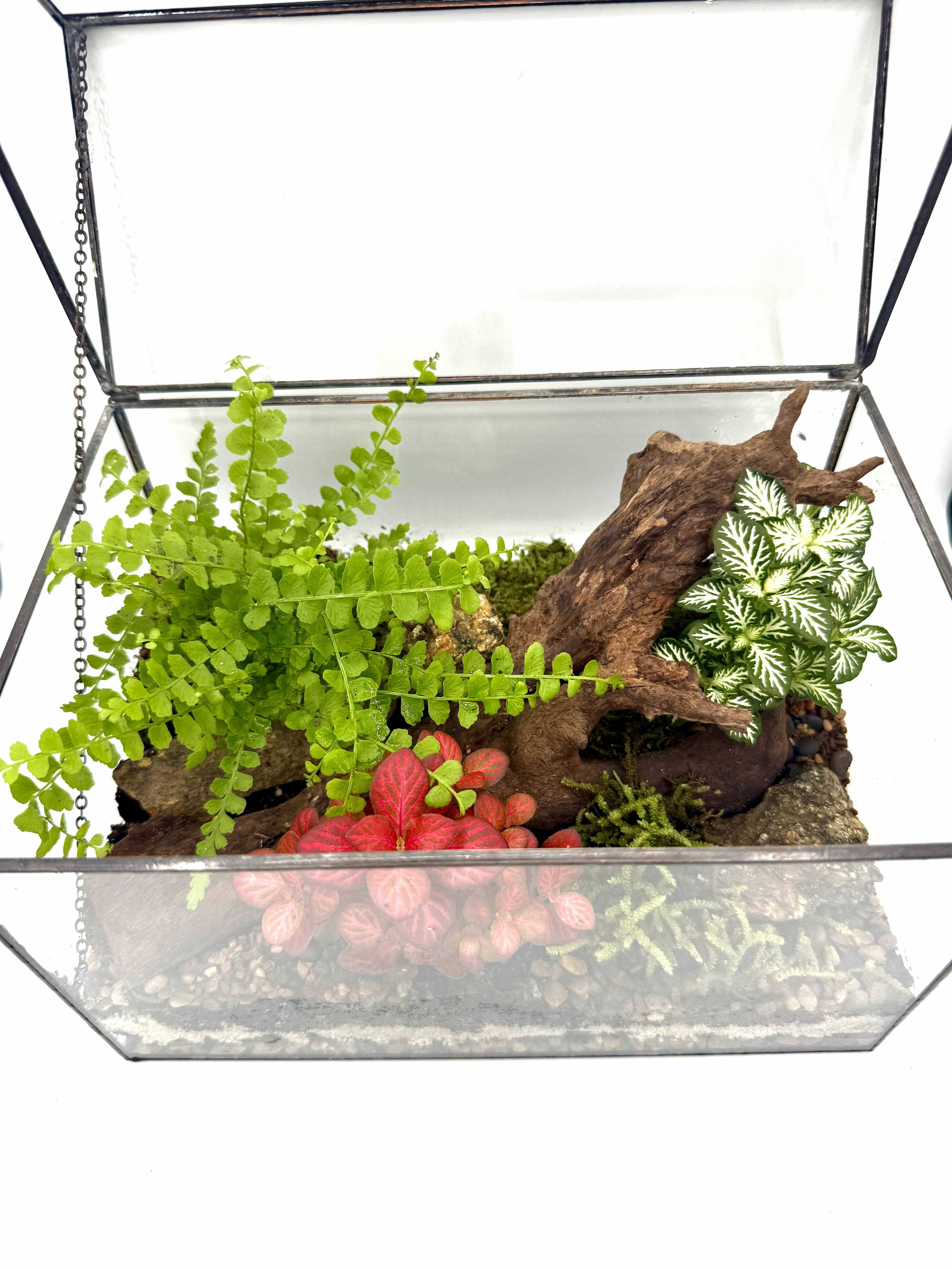 Glass House Terrarium