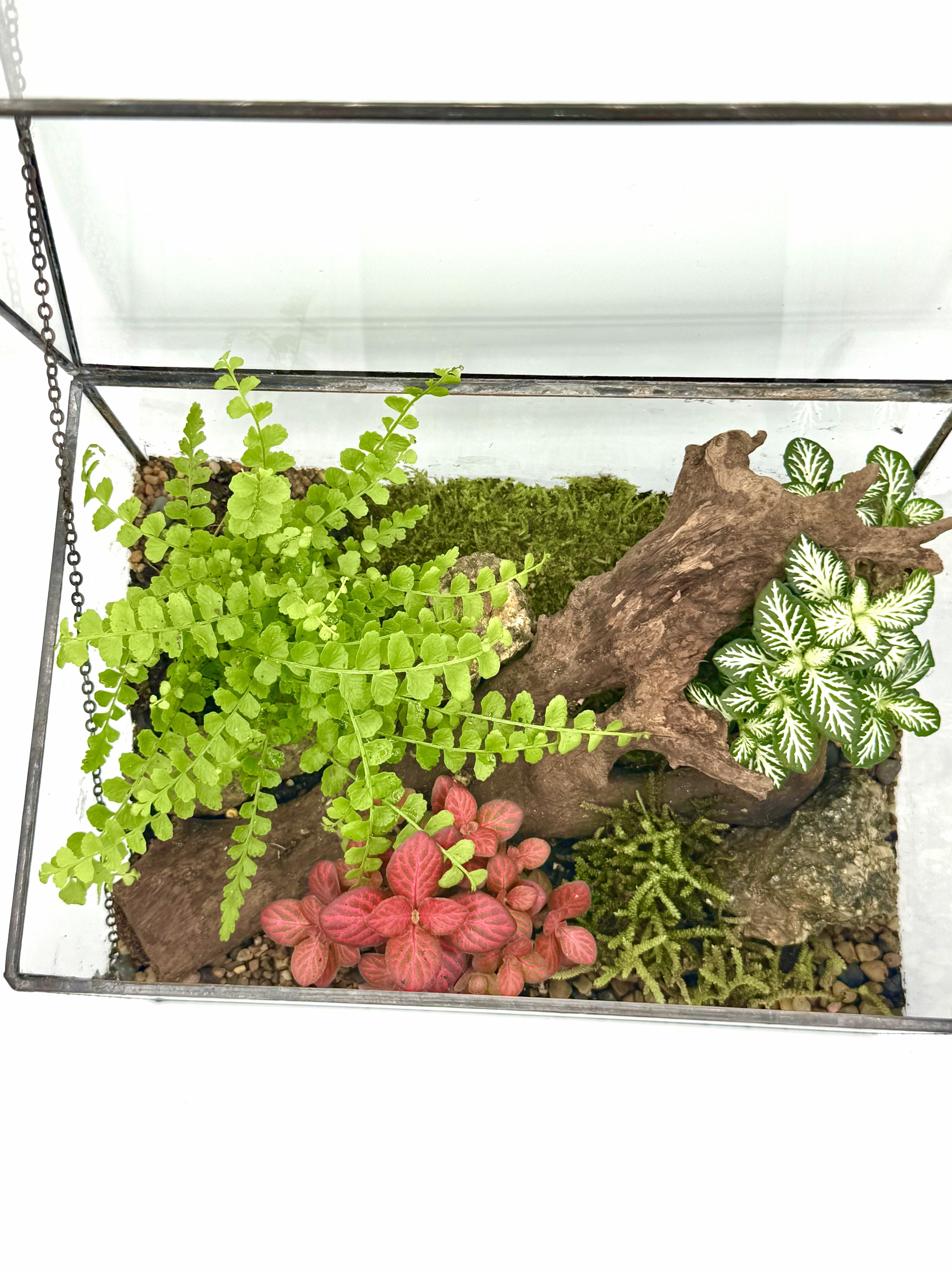 Glass House Terrarium