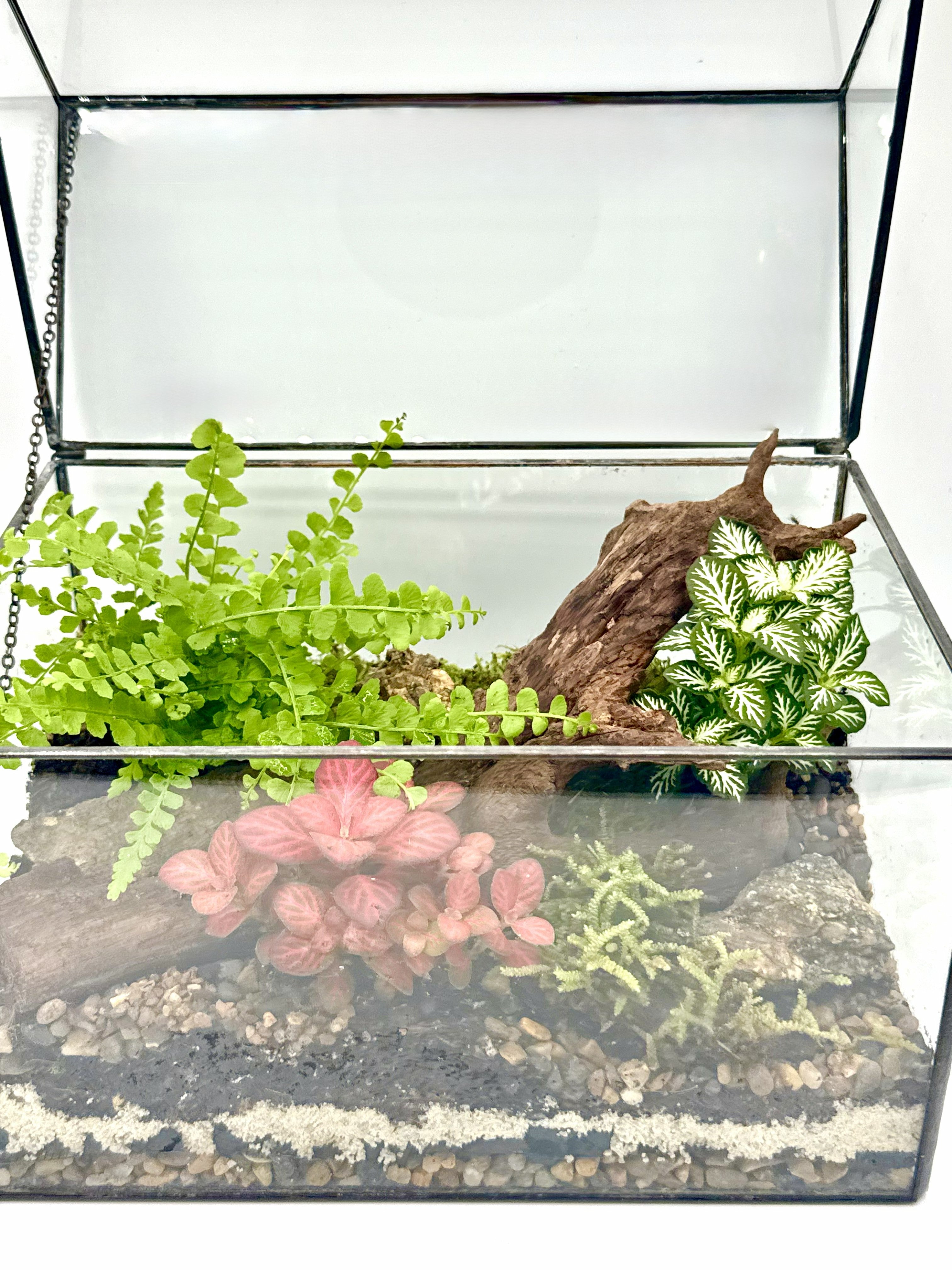 Glass House Terrarium