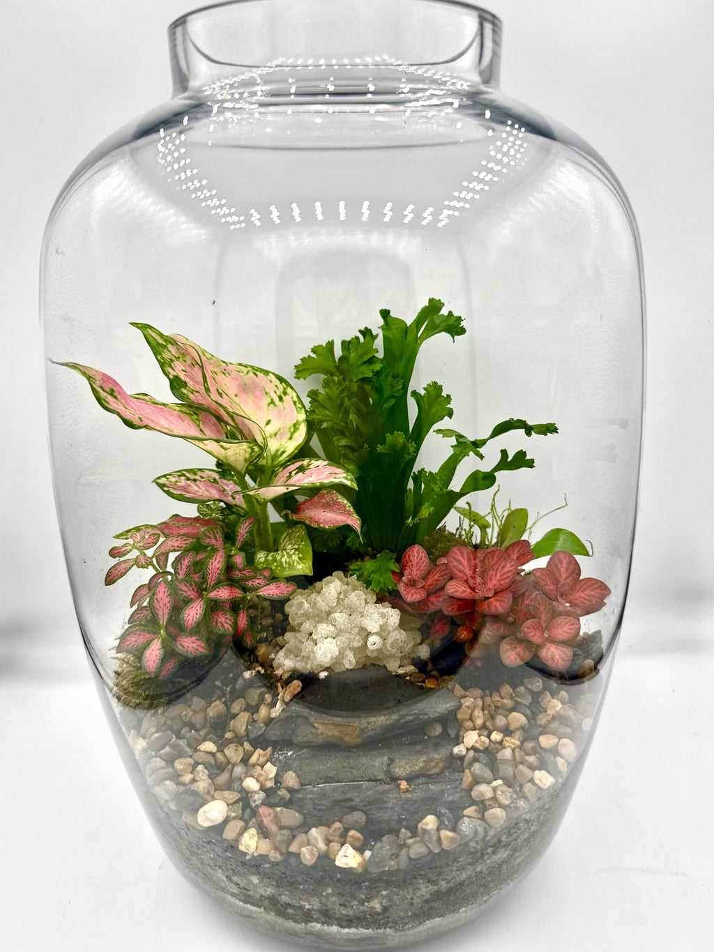 Handcrafted Jar Terrarium — Living Ecosystem