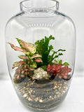 Handcrafted Jar Terrarium — Living Ecosystem