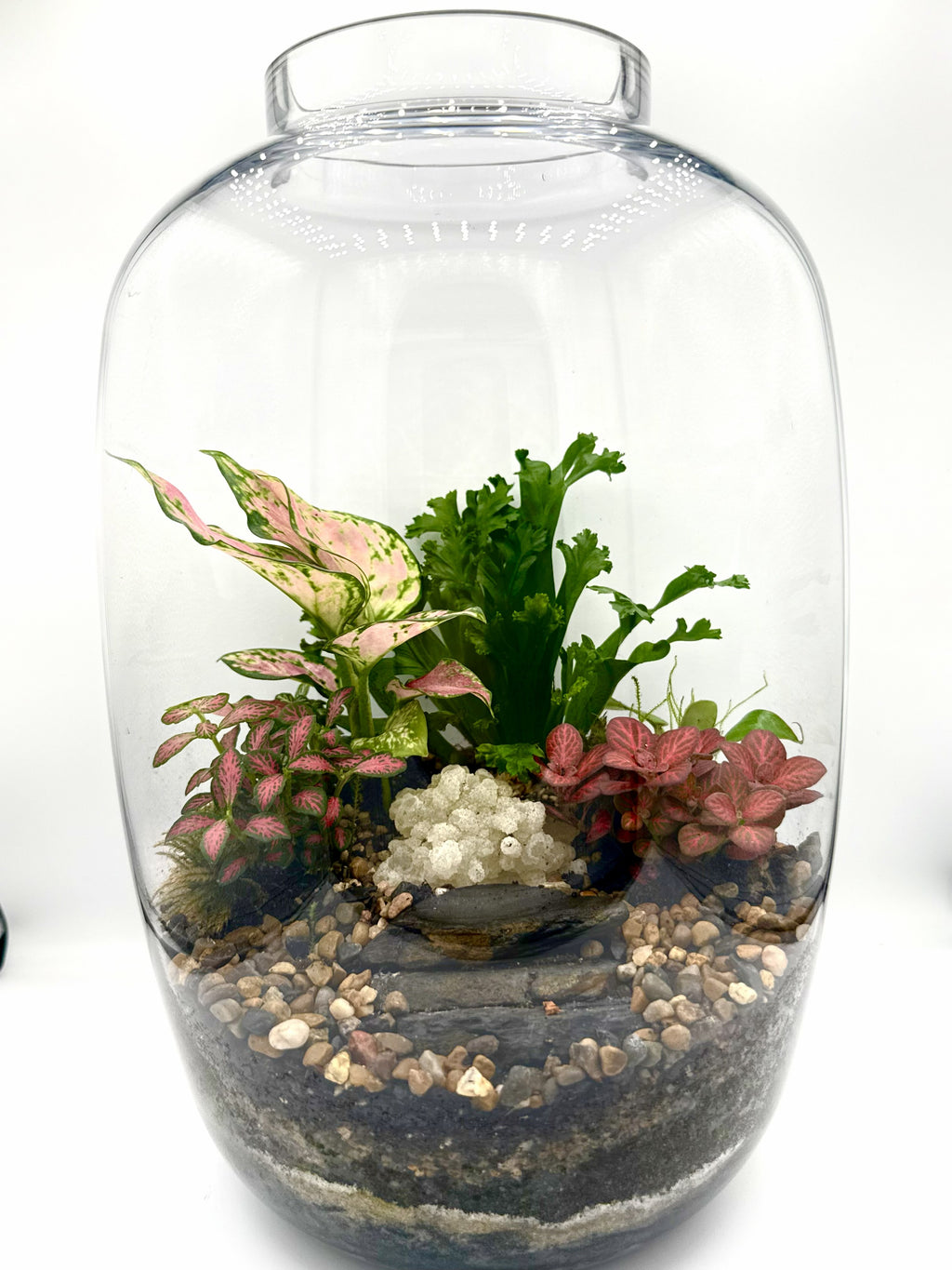 Handcrafted Jar Terrarium — Living Ecosystem