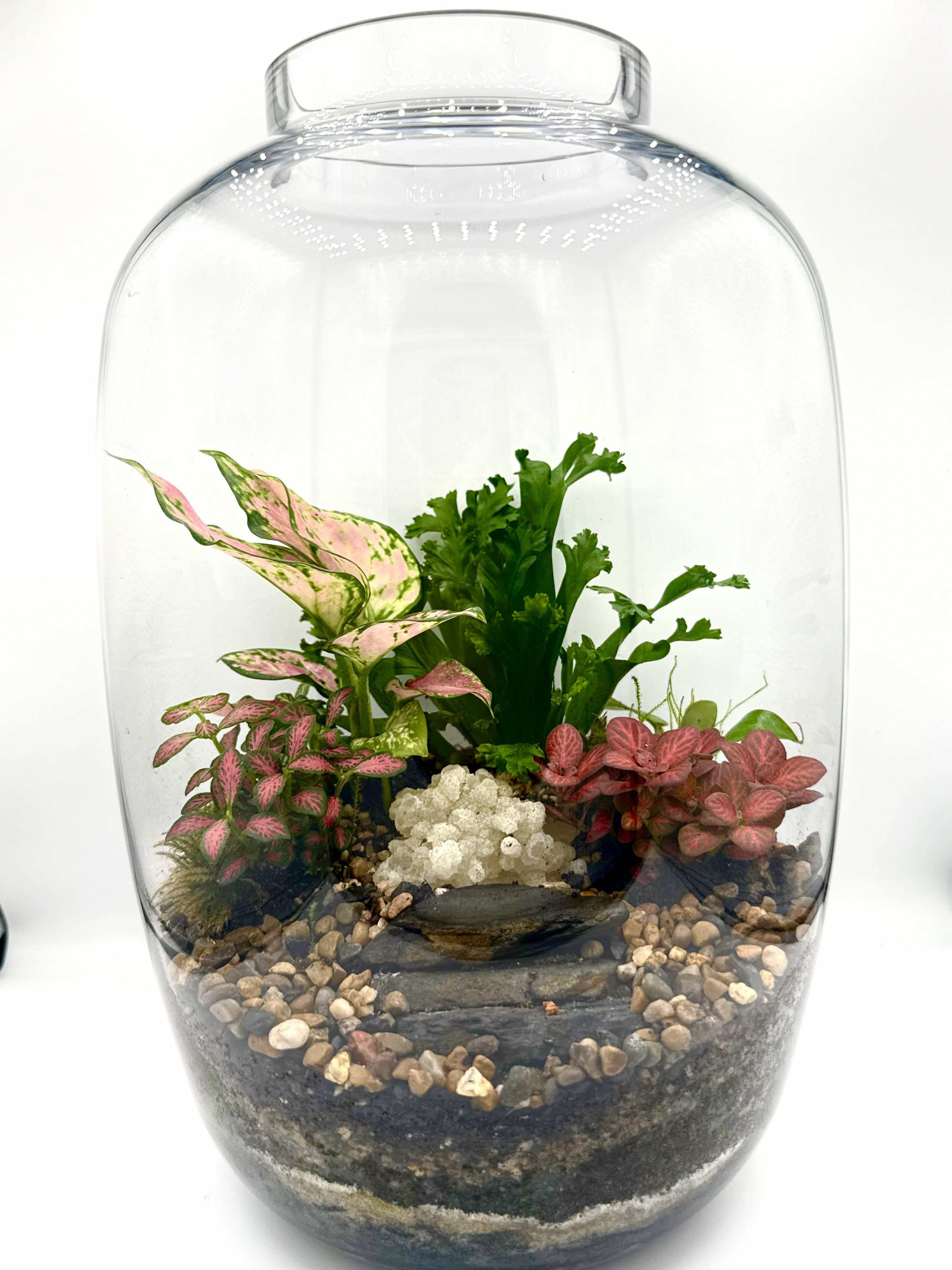 Handcrafted Jar Terrarium — Living Ecosystem