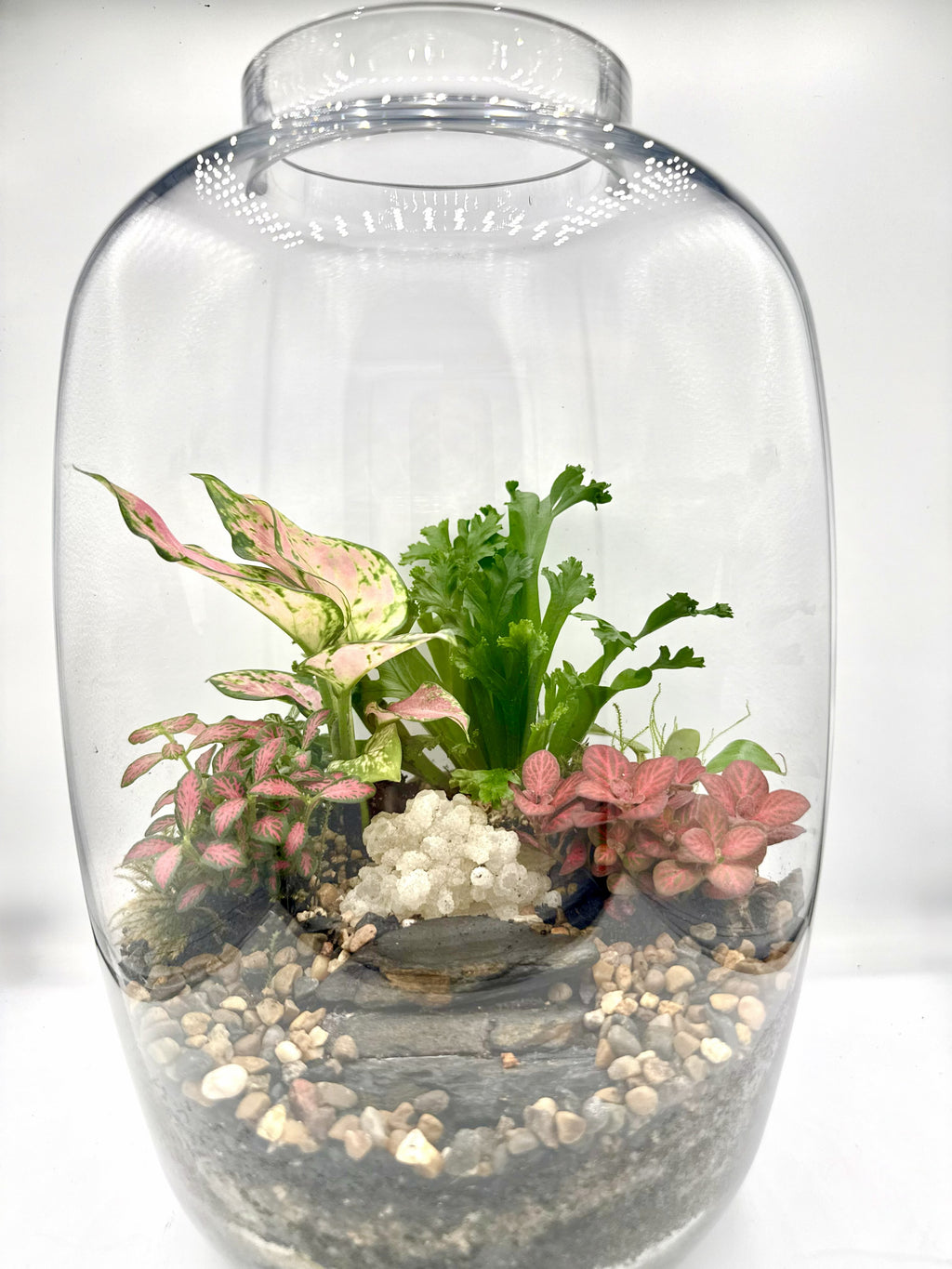 Handcrafted Jar Terrarium — Living Ecosystem