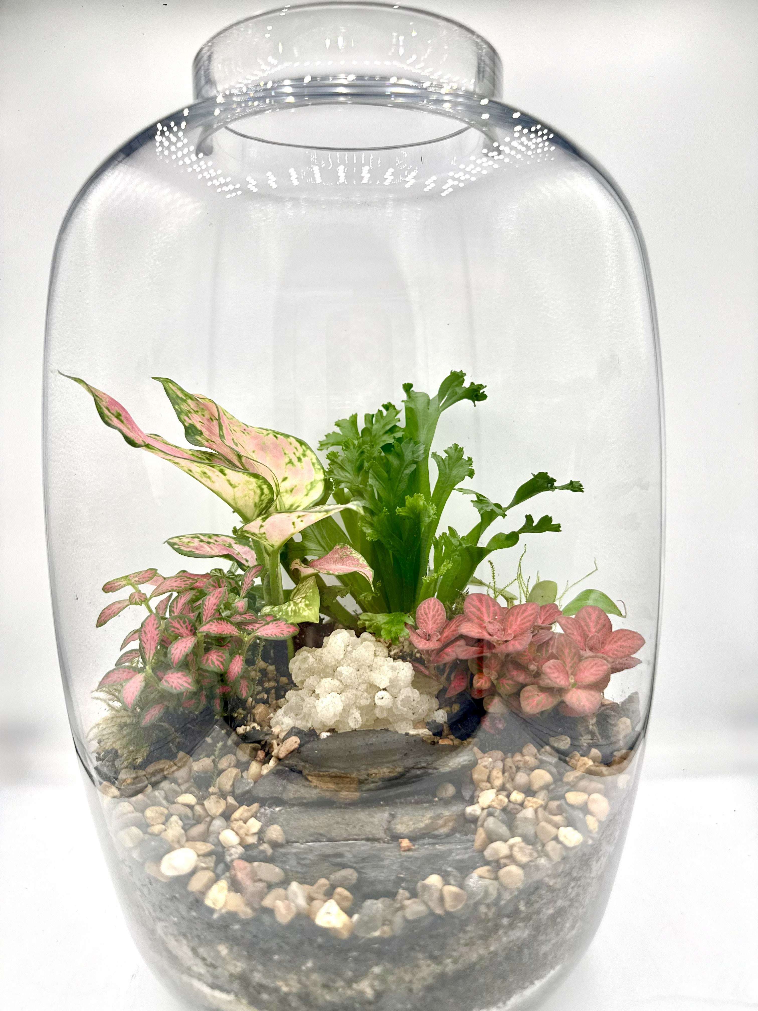 Handcrafted Jar Terrarium — Living Ecosystem