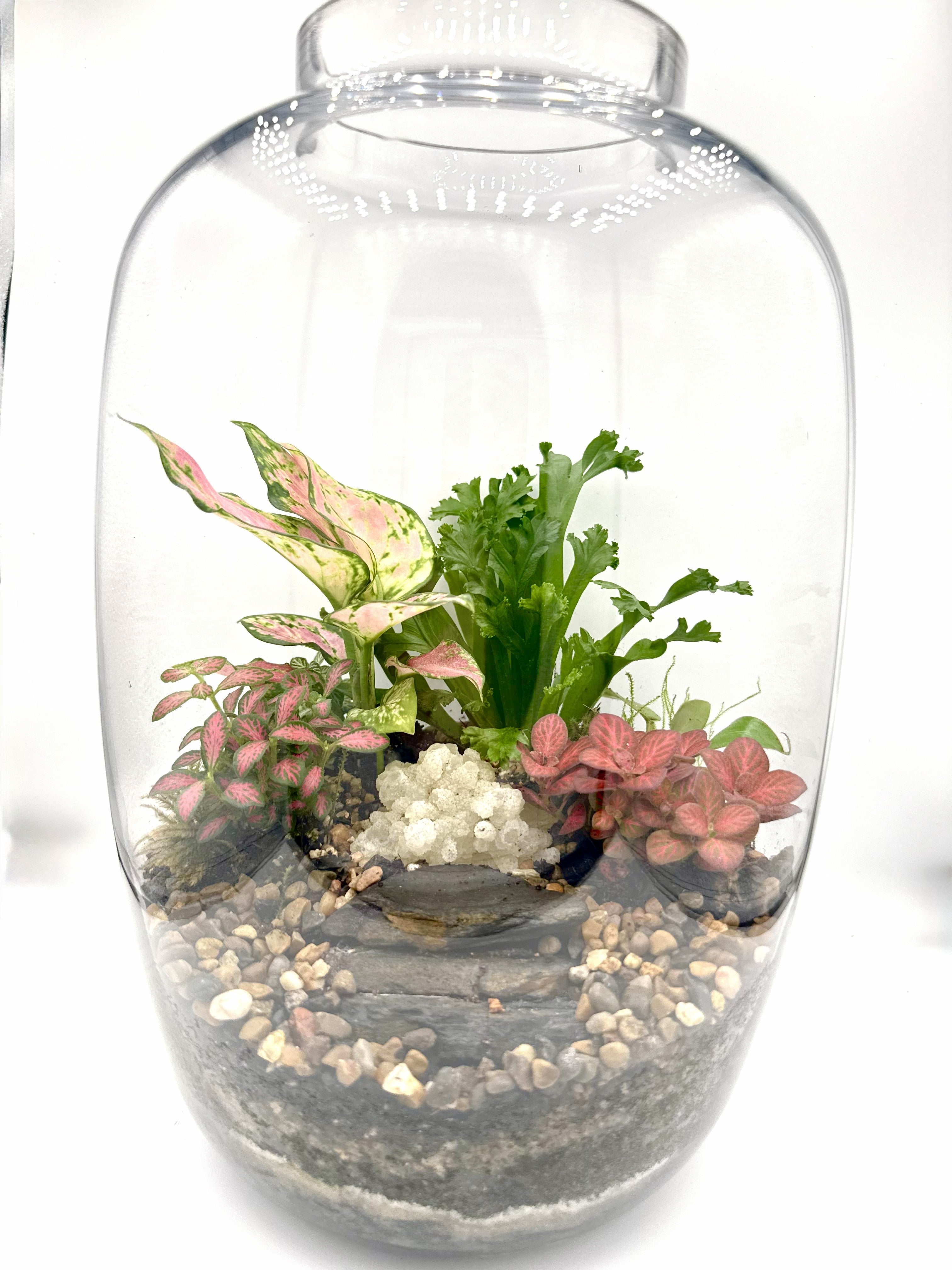 Handcrafted Jar Terrarium — Living Ecosystem