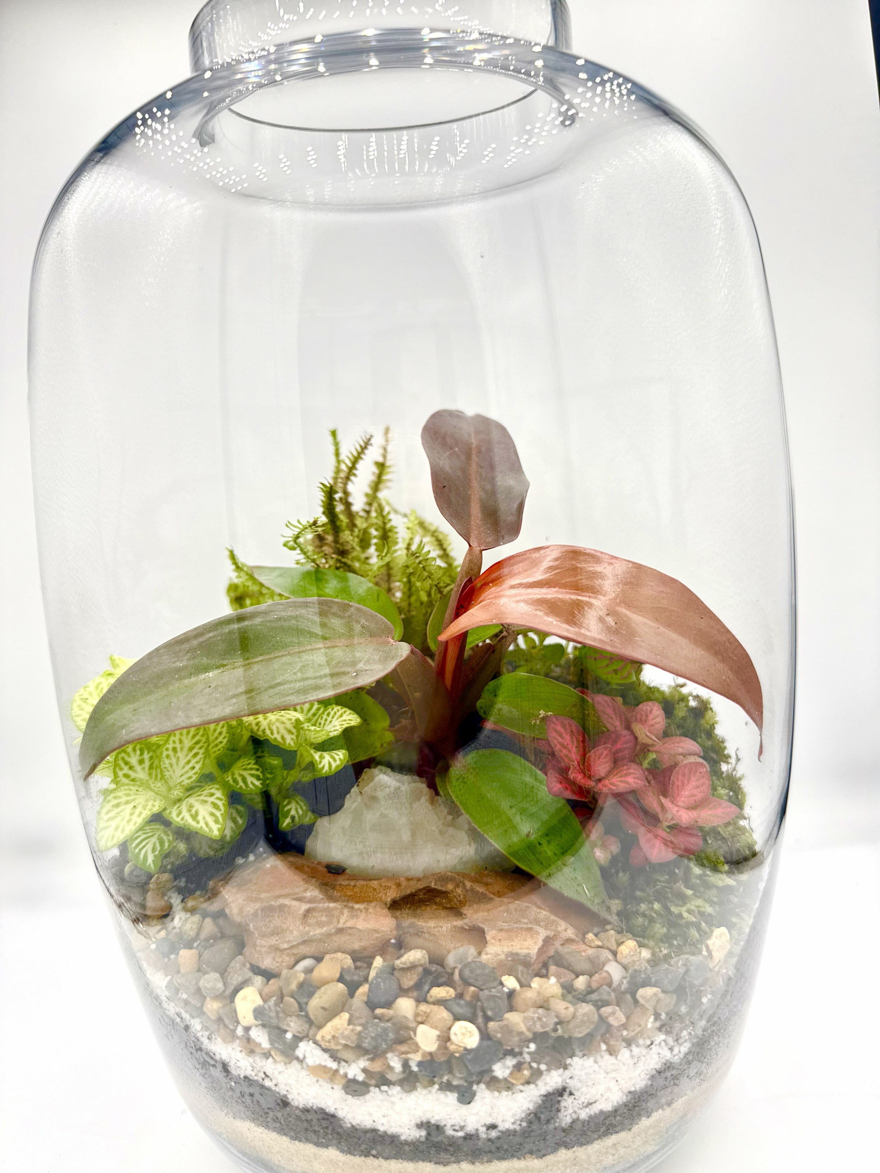Copper Jar Terrarium