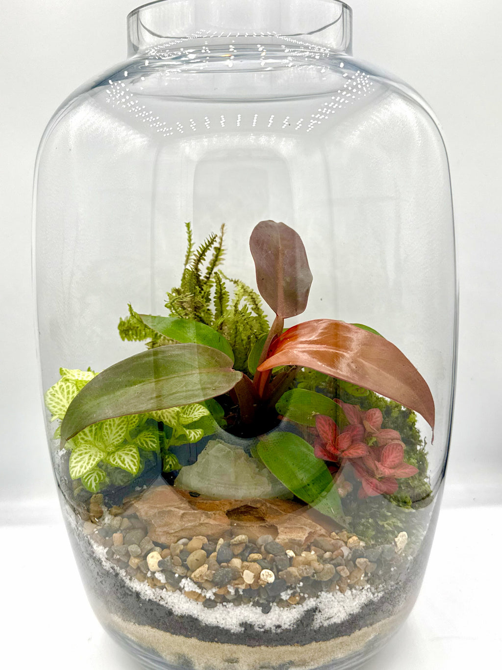 Copper Jar Terrarium