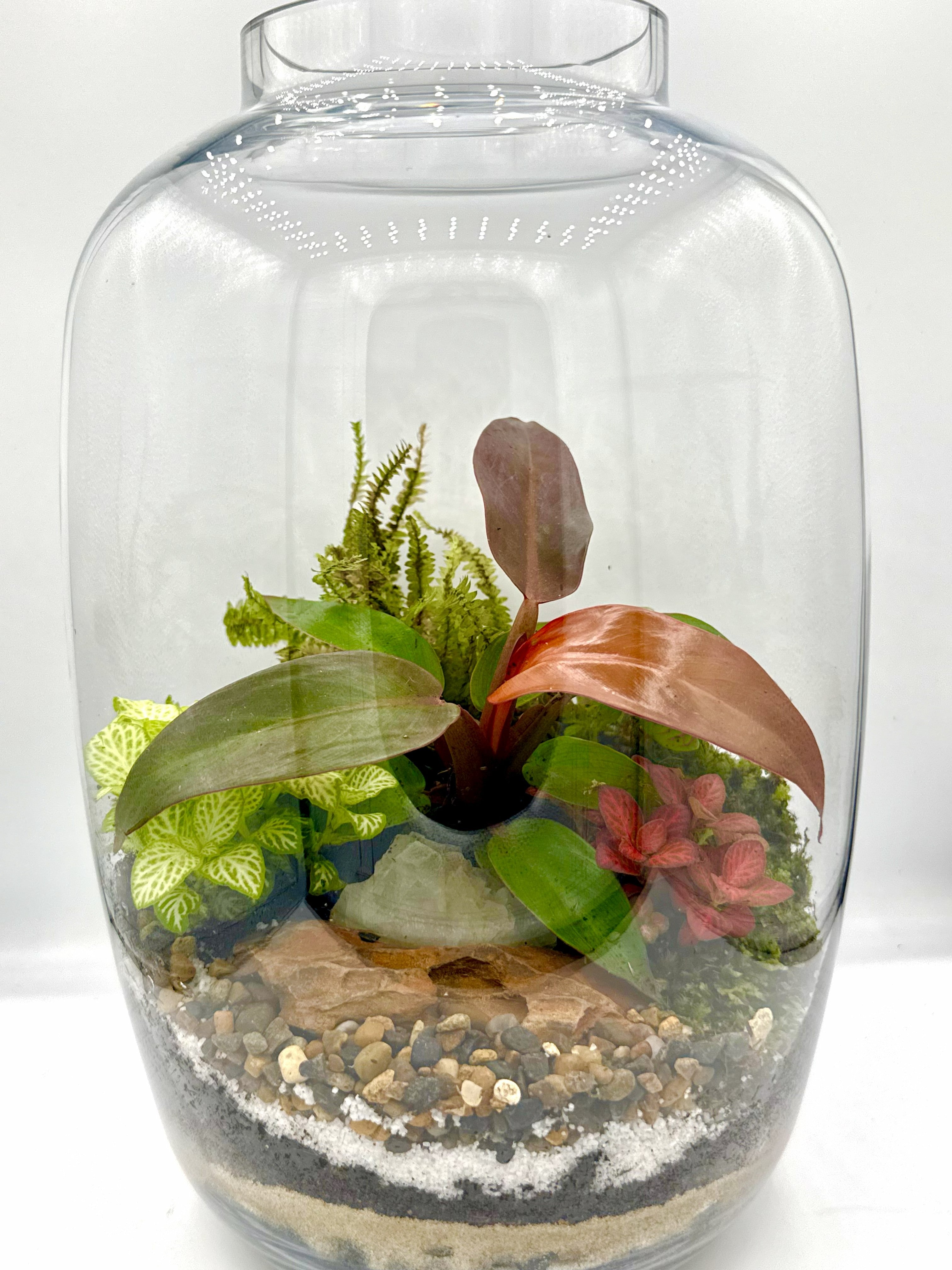 Copper Jar Terrarium