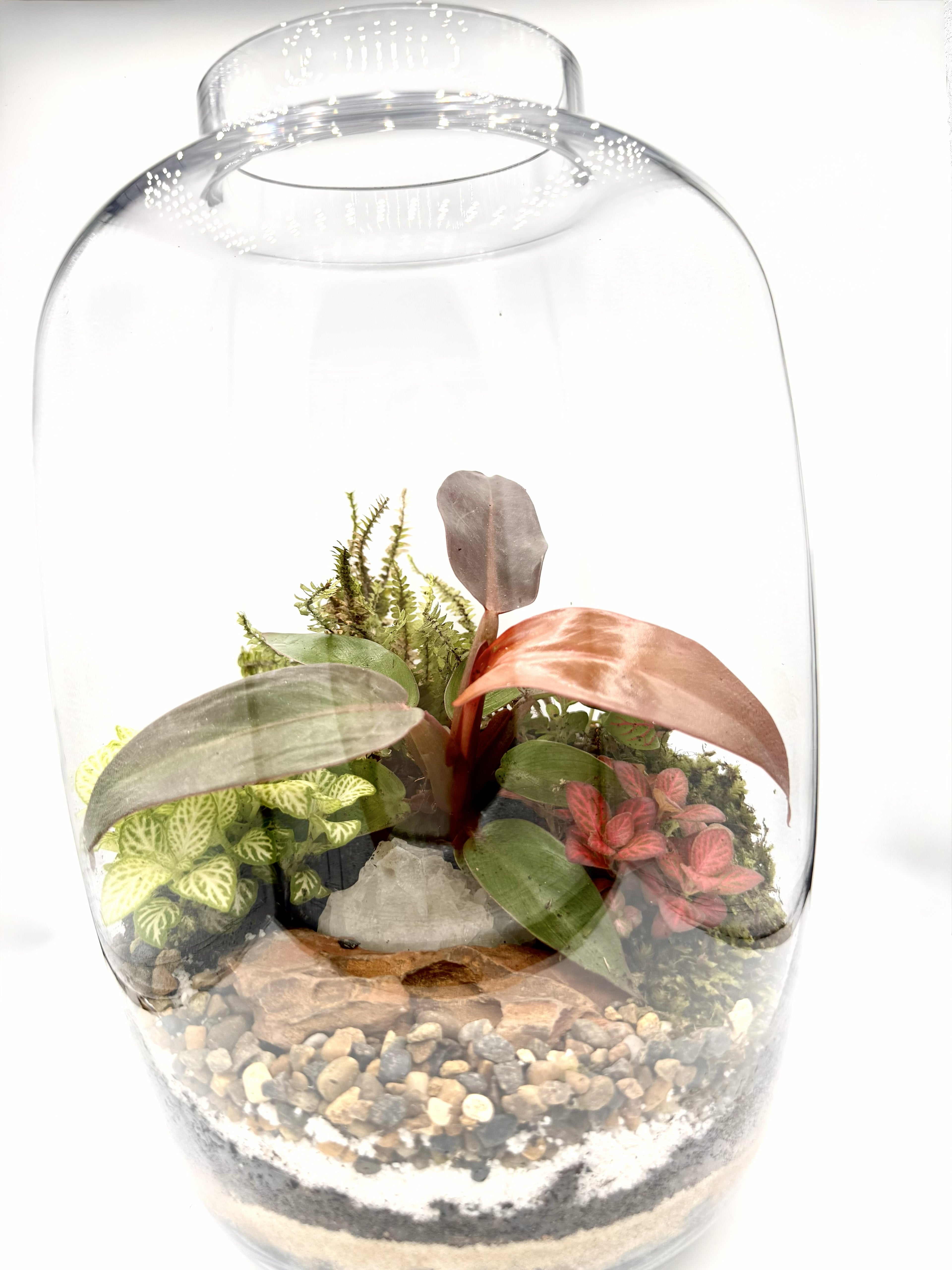 Copper Jar Terrarium
