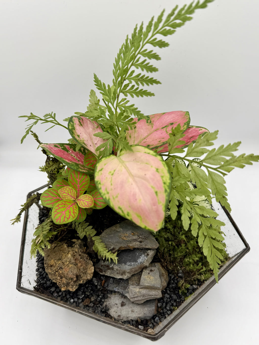 Hex Geometric Terrarium