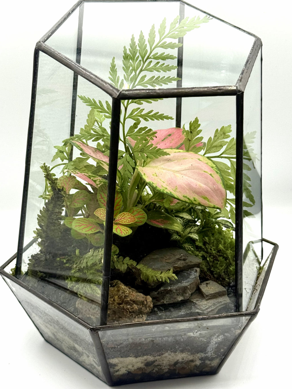 Hex Geometric Terrarium