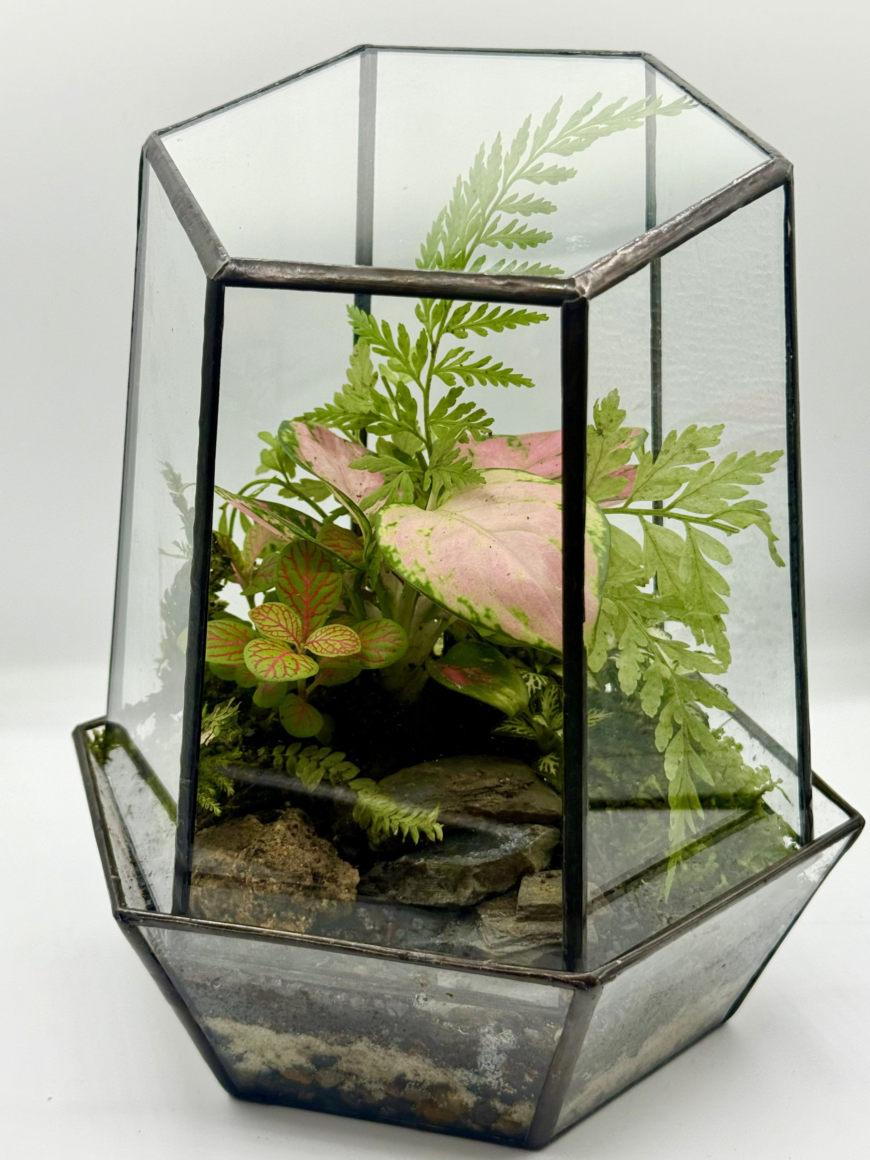 Hex Geometric Terrarium