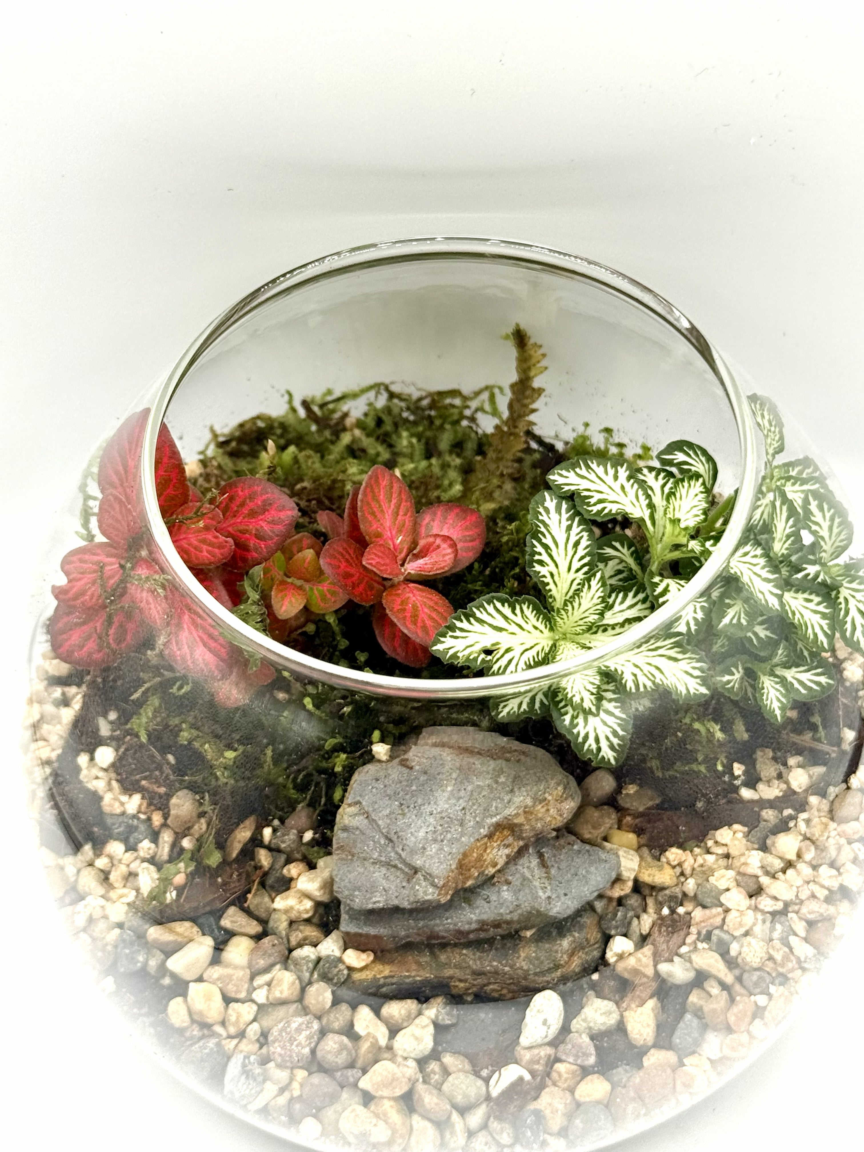Tilted Globe Terrarium