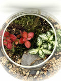 Tilted Globe Terrarium