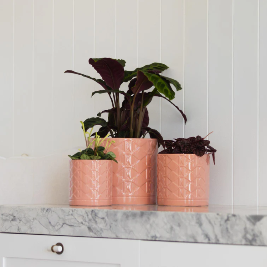 Eden Cylinder Pot