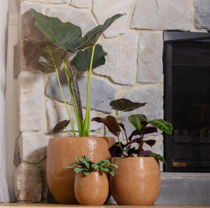 Aya Egg Pot