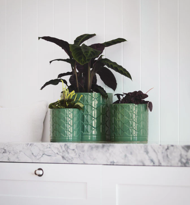 Eden Cylinder Pot