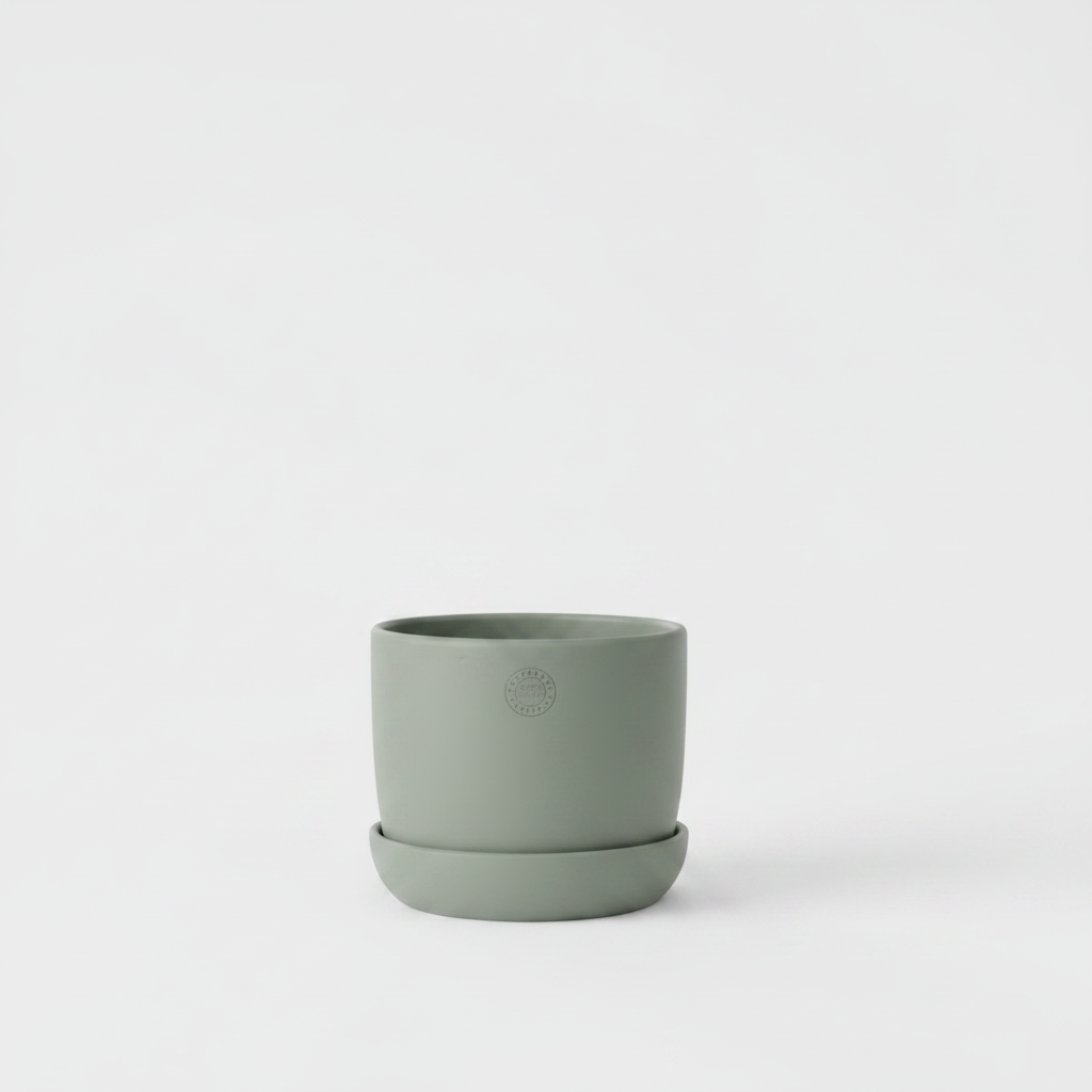 Sage green pot only - empty